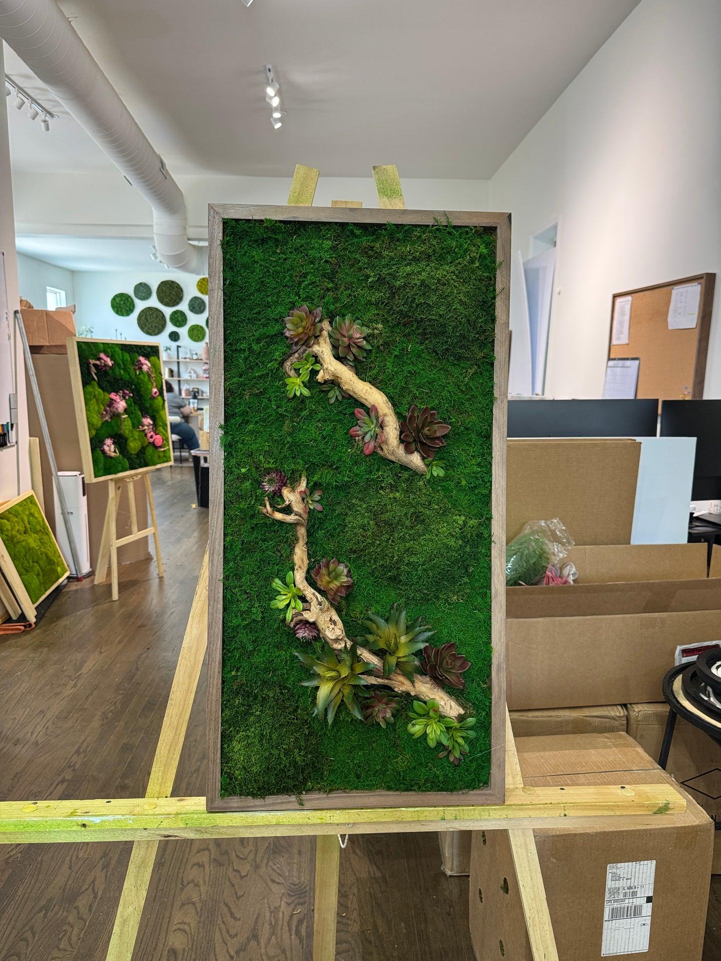 Succulent Grove Moss Art Frame