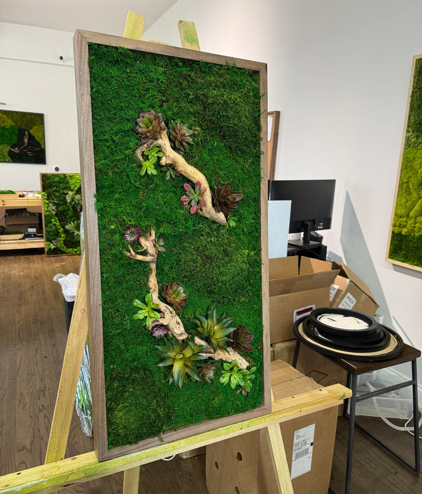 Succulent Grove Moss Art Frame
