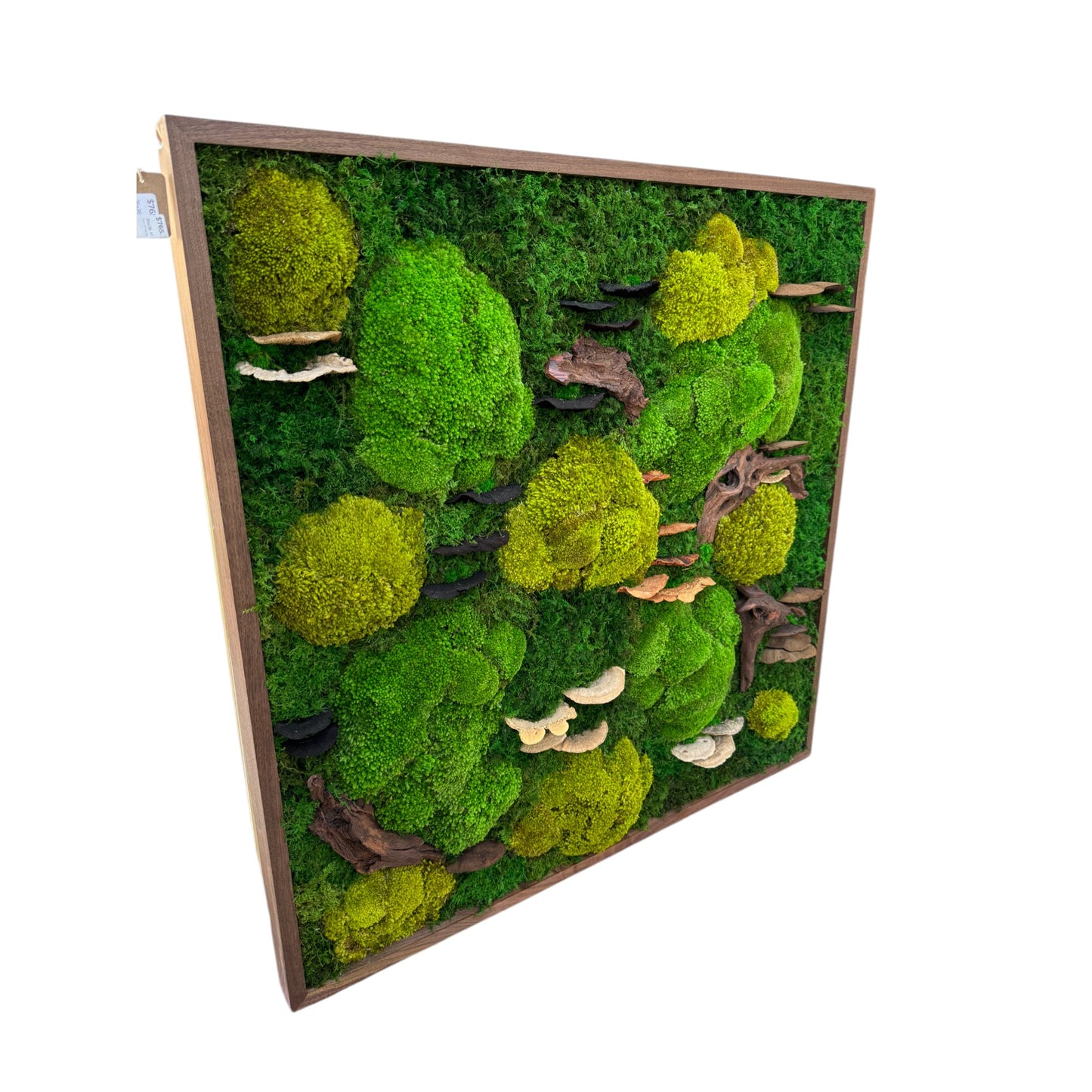 Moss Frame with Mushrooms and Driftwood