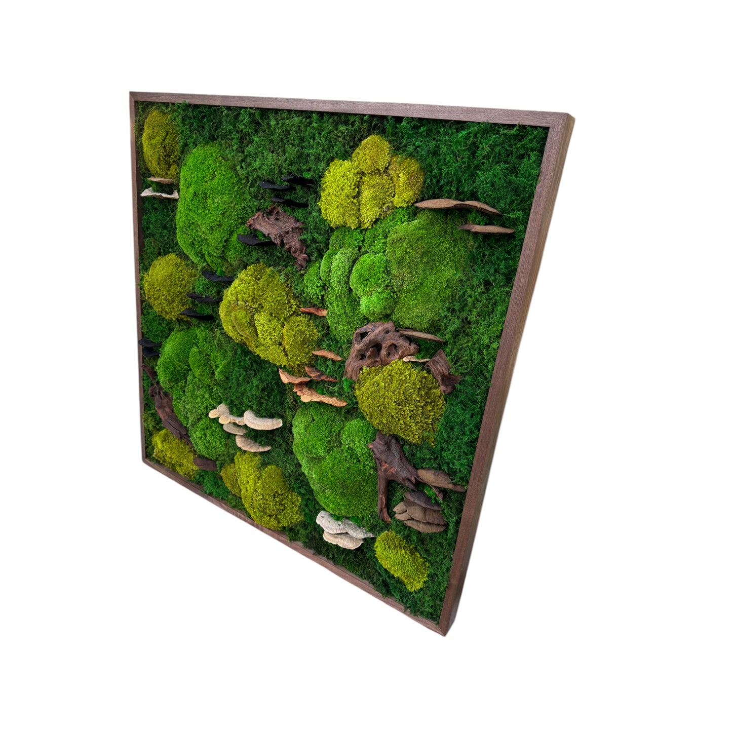 Moss Frame with Mushrooms and Driftwood