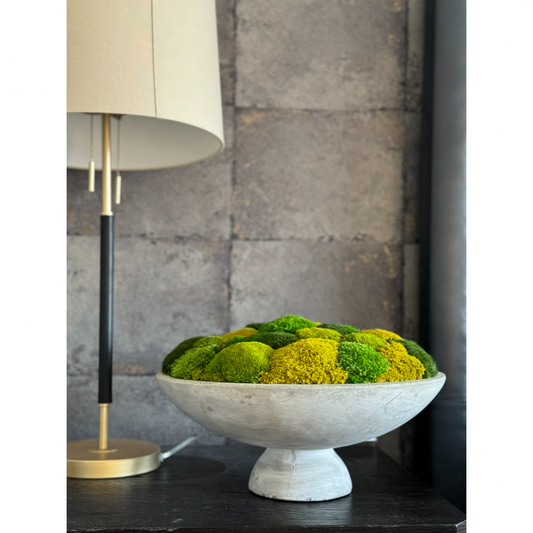 Opulent Concrete Moss Bowl