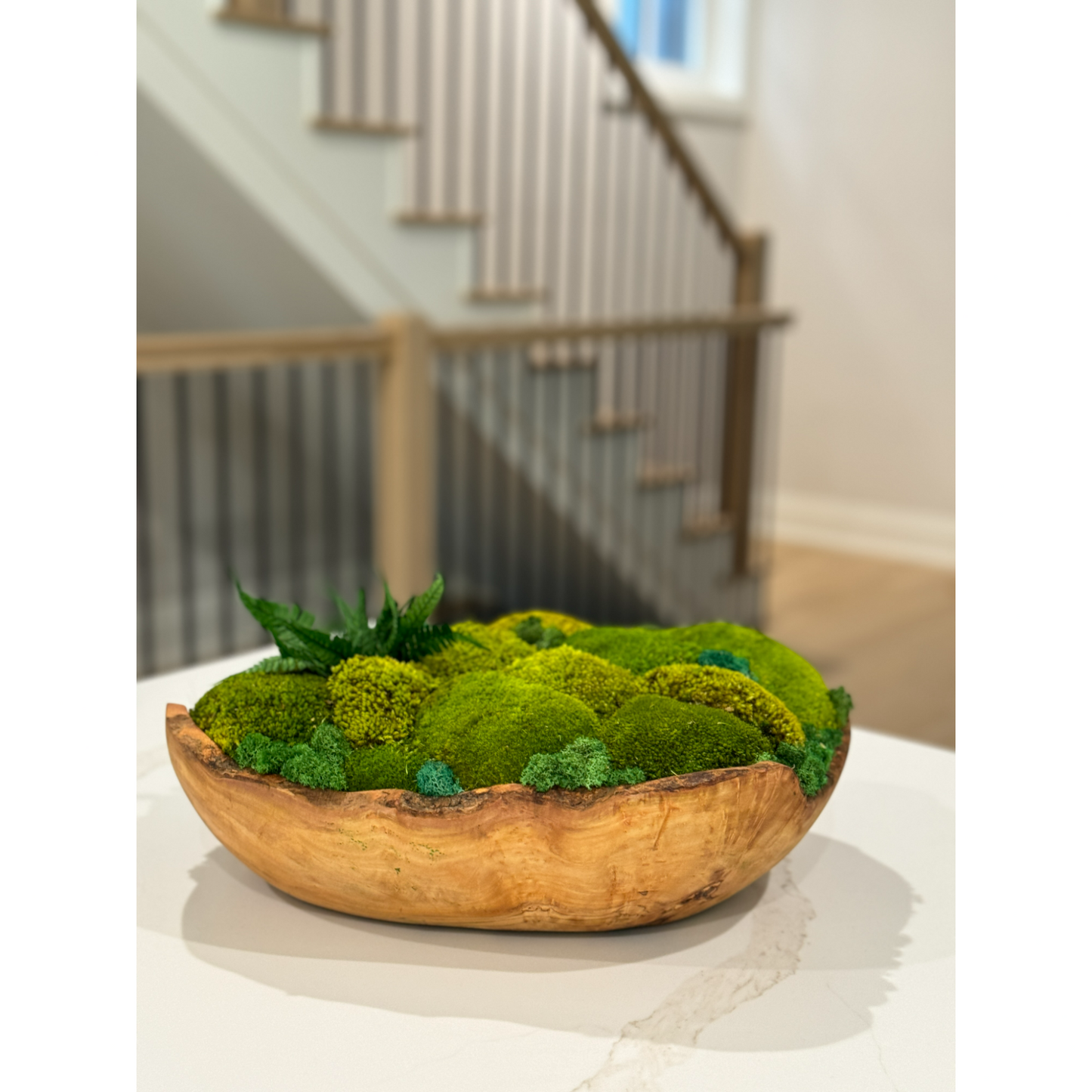 Paradise Cove - Oversize Olive Wood Moss Bowl