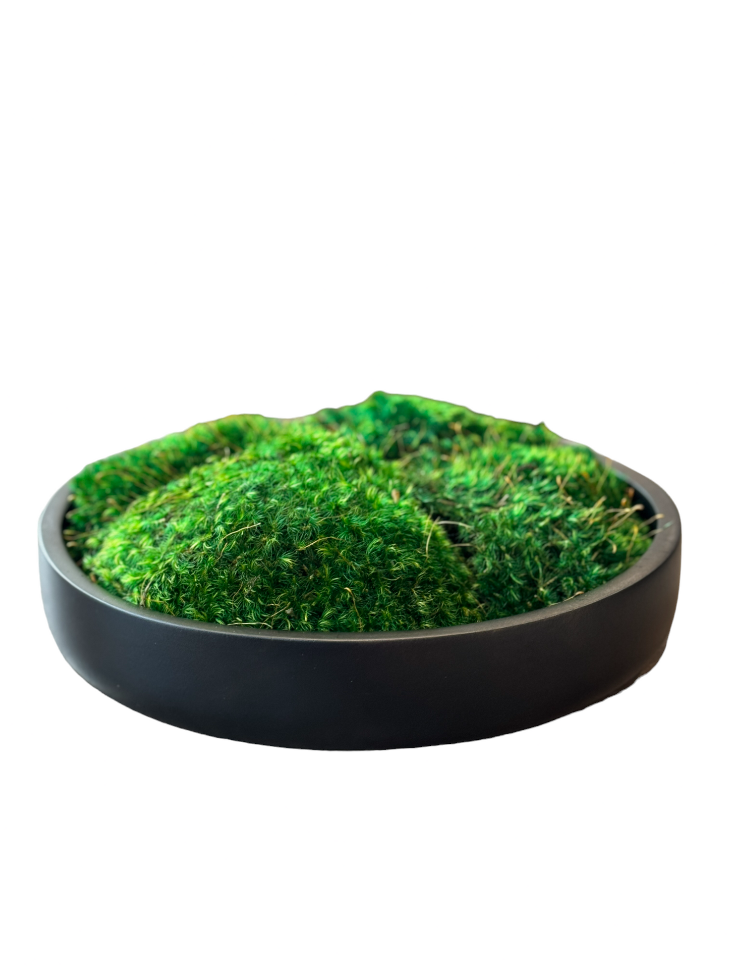 Wood Moss Bowl