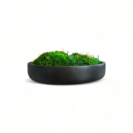 Wood Moss Bowl