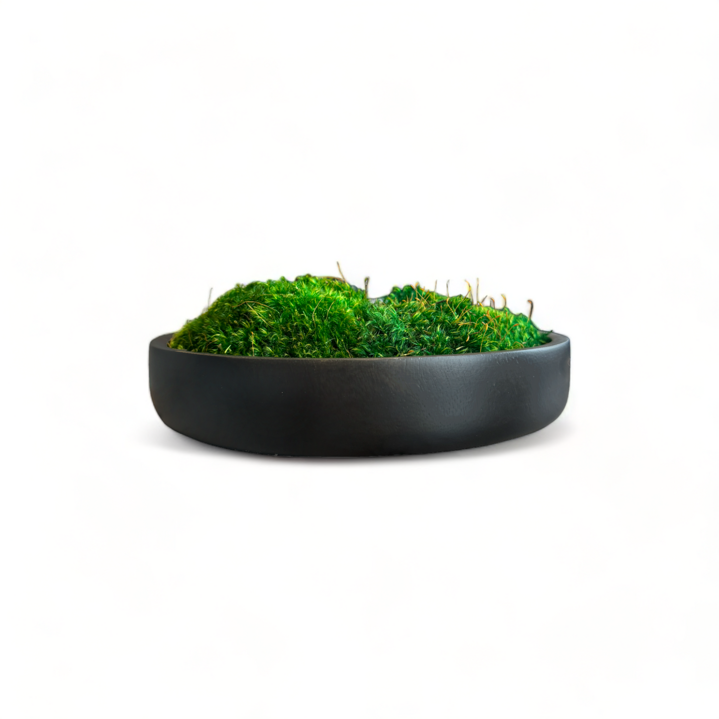 Wood Moss Bowl