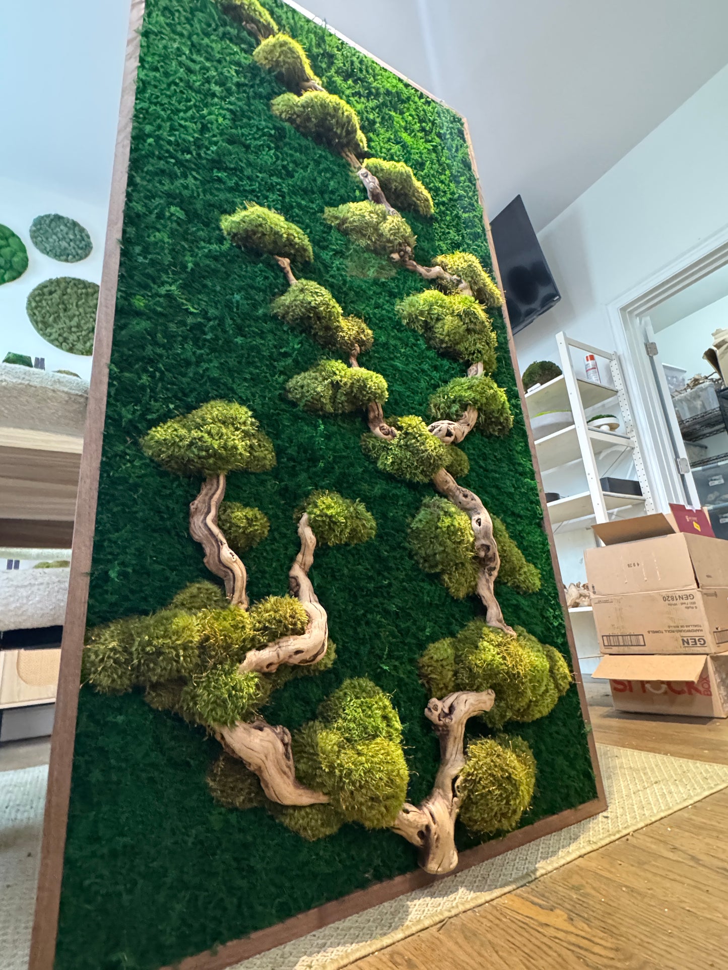 bonsai tree moss Bonsai Tree Moss Art Frame – The Moss Shop