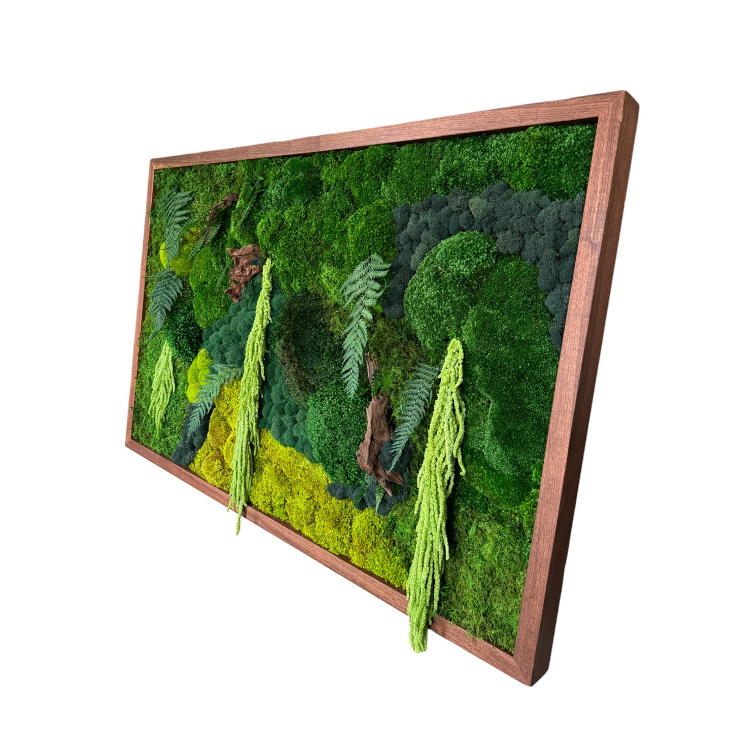 "Paradise" Moss Wall Art Frame  36x48"