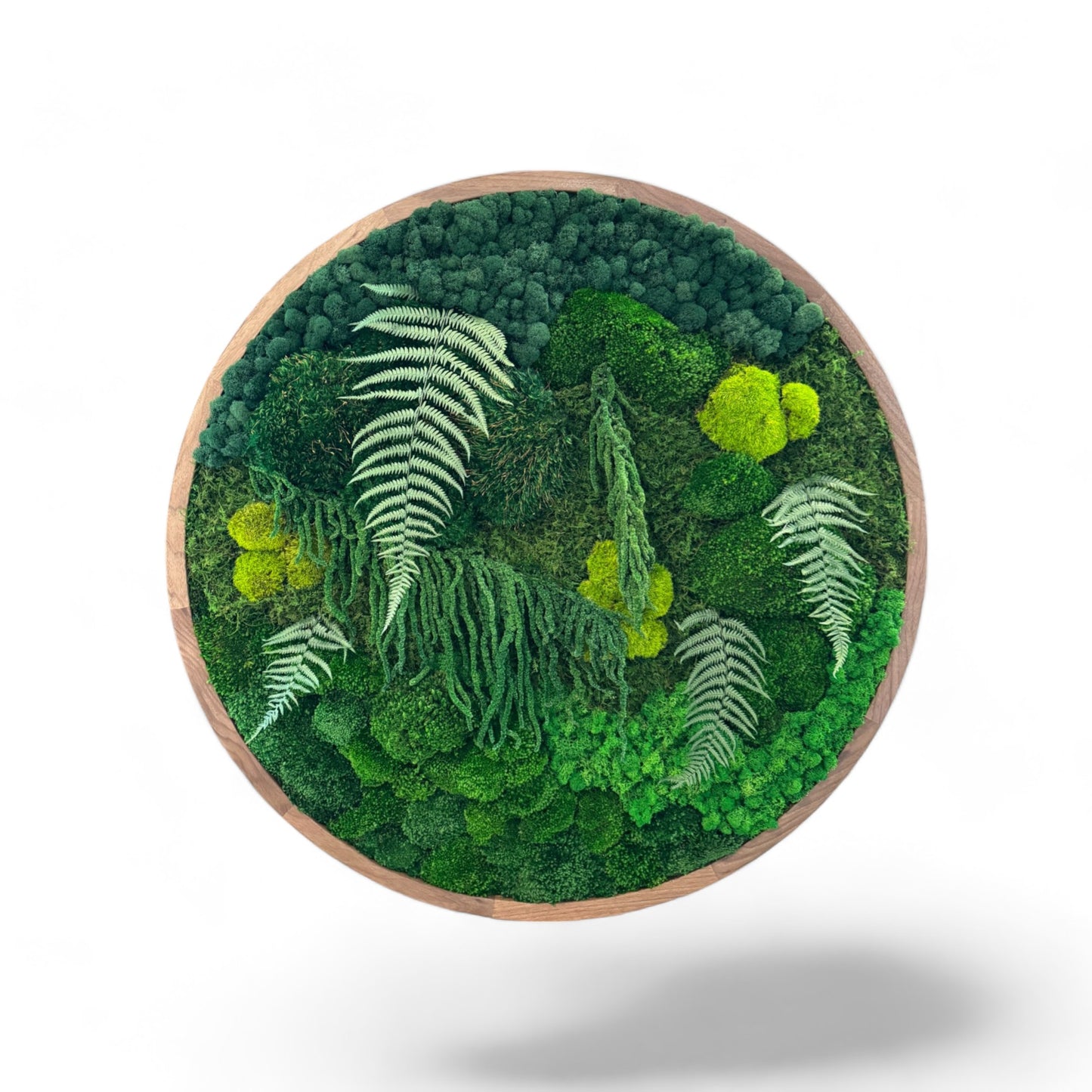 The Rainforest Sphere - Moss Circle Art Frame