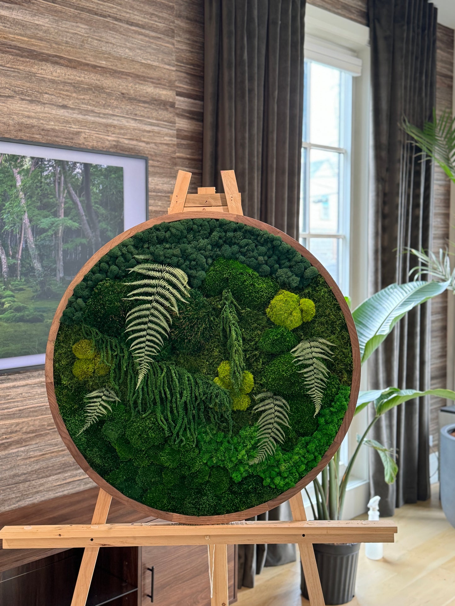 The Rainforest Sphere - Moss Circle Art Frame