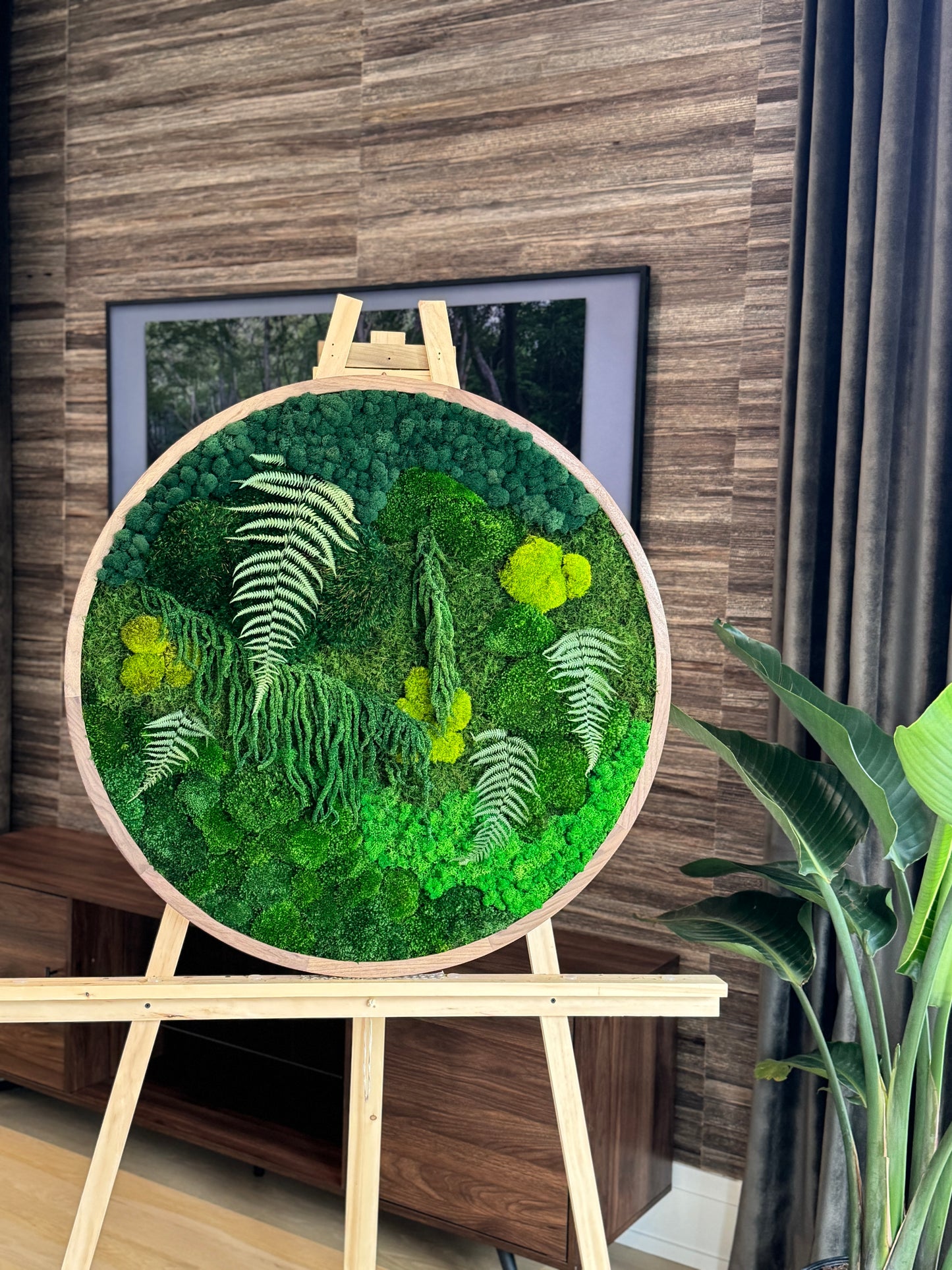 The Rainforest Sphere - Moss Circle Art Frame