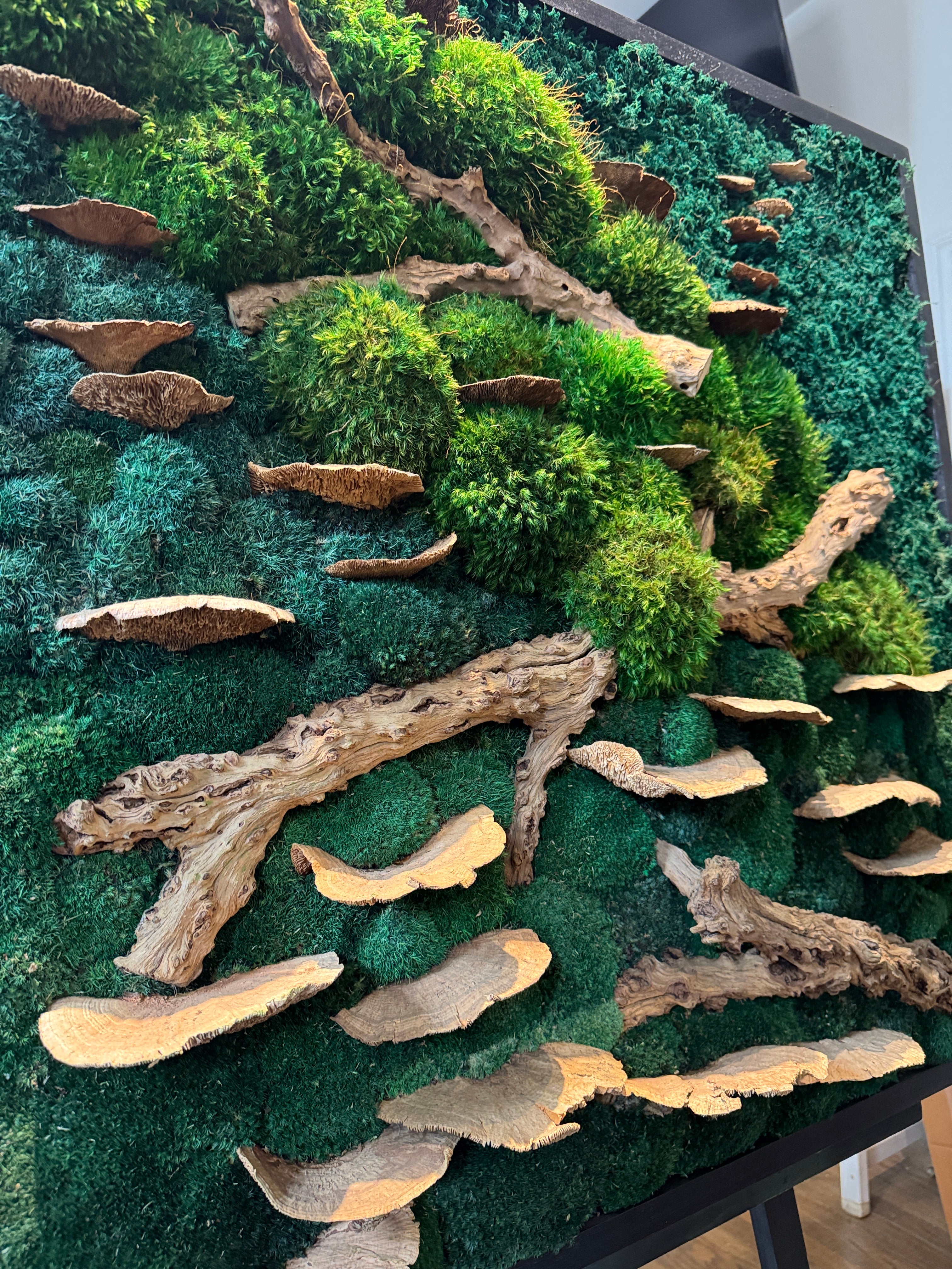 Ready to Ship: Drift & Bloom Moss Art Frame – The Moss Shop