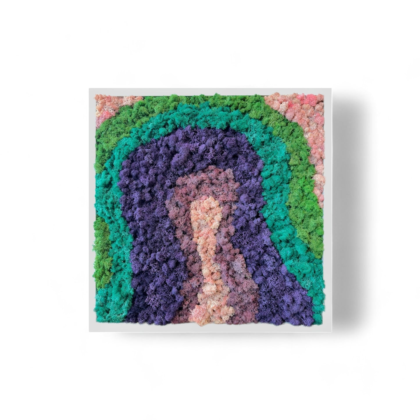 Rainbow Moss Art Frame