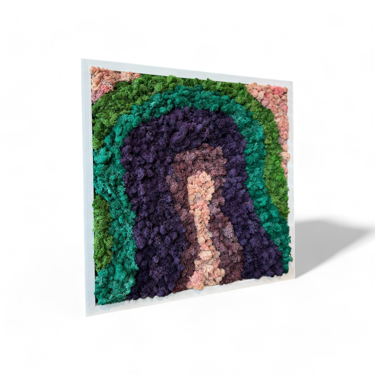 Rainbow Moss Art Frame