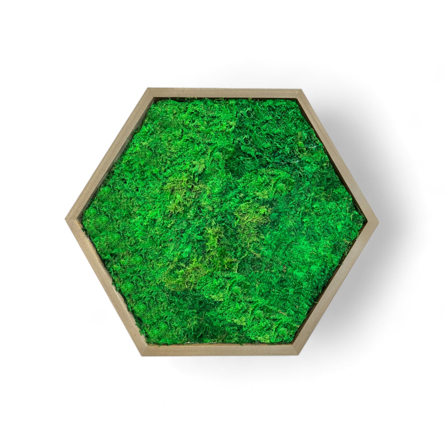 Hexagon Moss Art Frame - Minimalist Hex