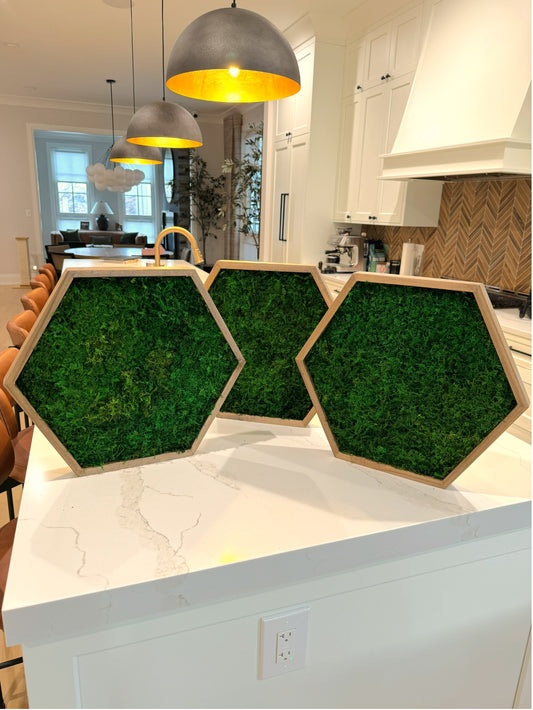 Hexagon Moss Art Frame - Minimalist Hex