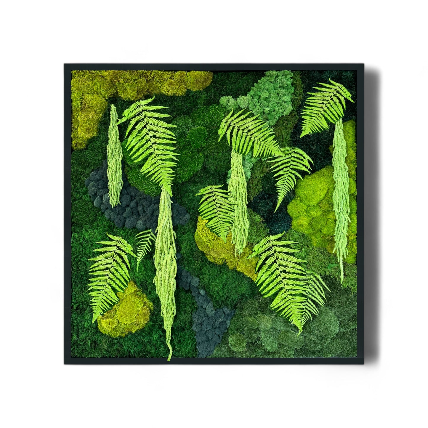 The Modern Contrast - Moss Wall Art Frame 42x42"