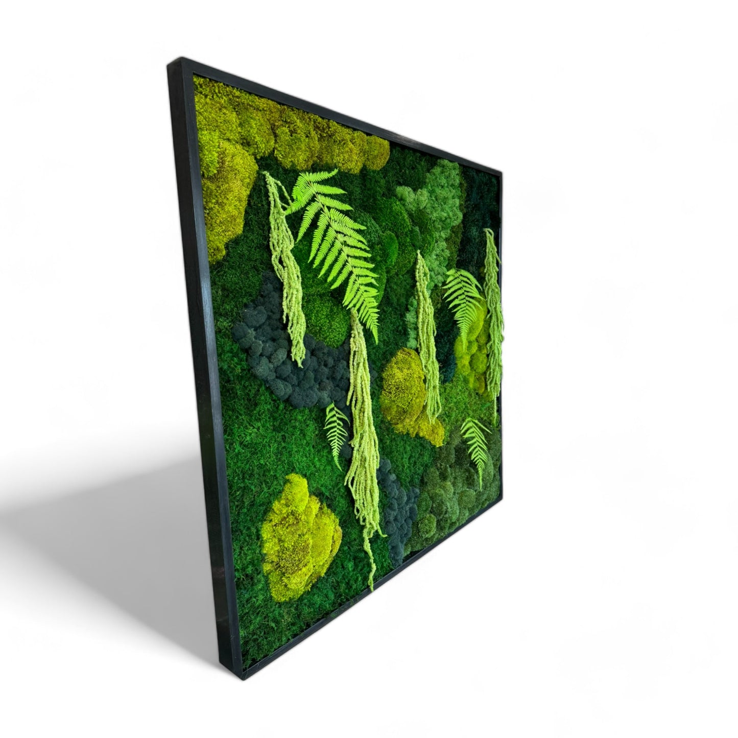 The Modern Contrast - Moss Wall Art Frame 42x42"