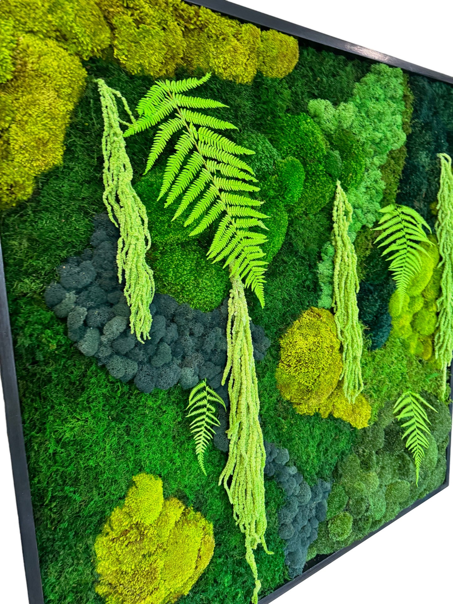 The Modern Contrast - Moss Wall Art Frame 42x42"