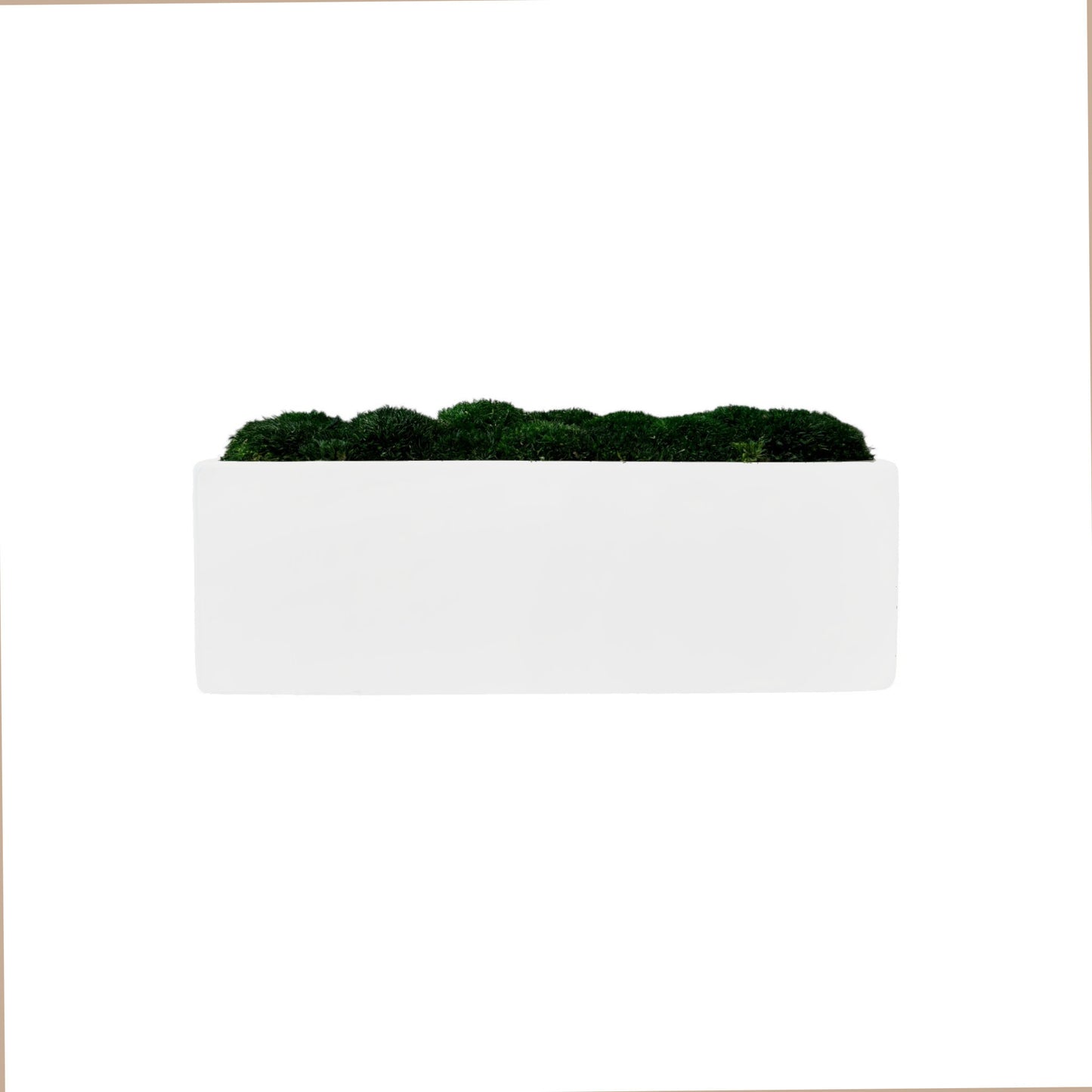 Wide Topiary Moss Bowl (White) 14x5x4"