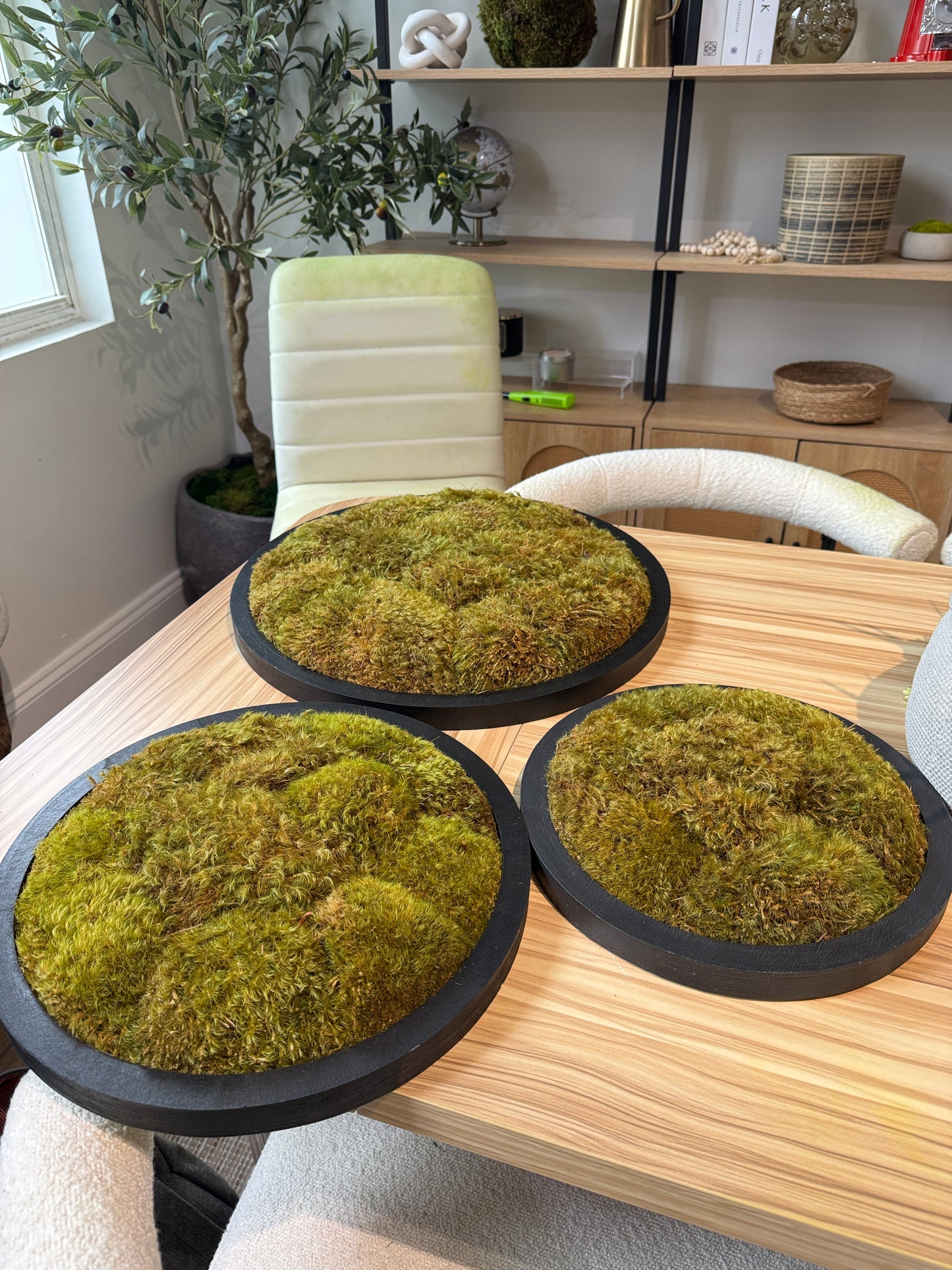 The Moss Constellation Circle Frame (One Piece)