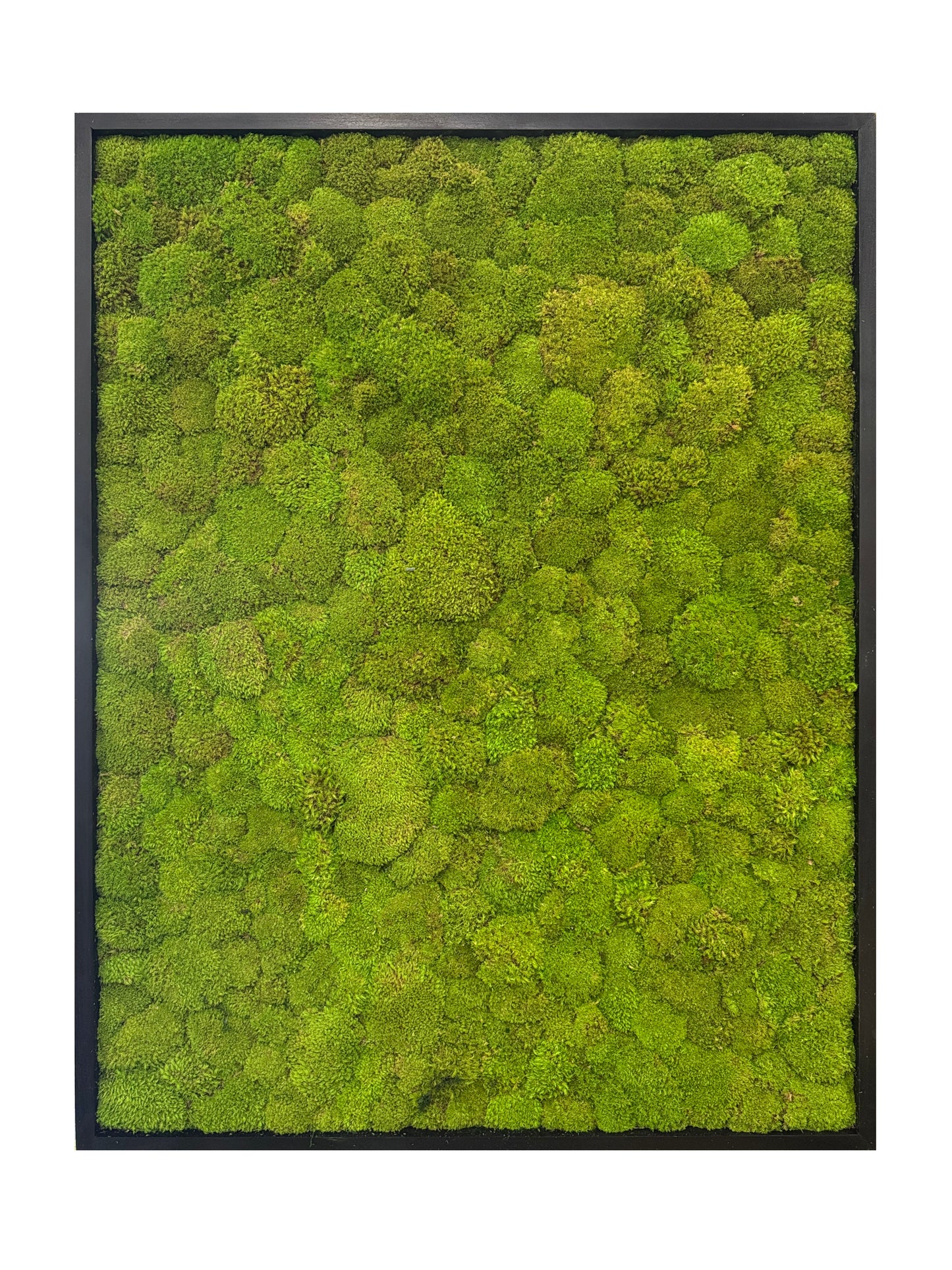 The Minimalist Mood Moss Art Frame (One Piece, Light Green)