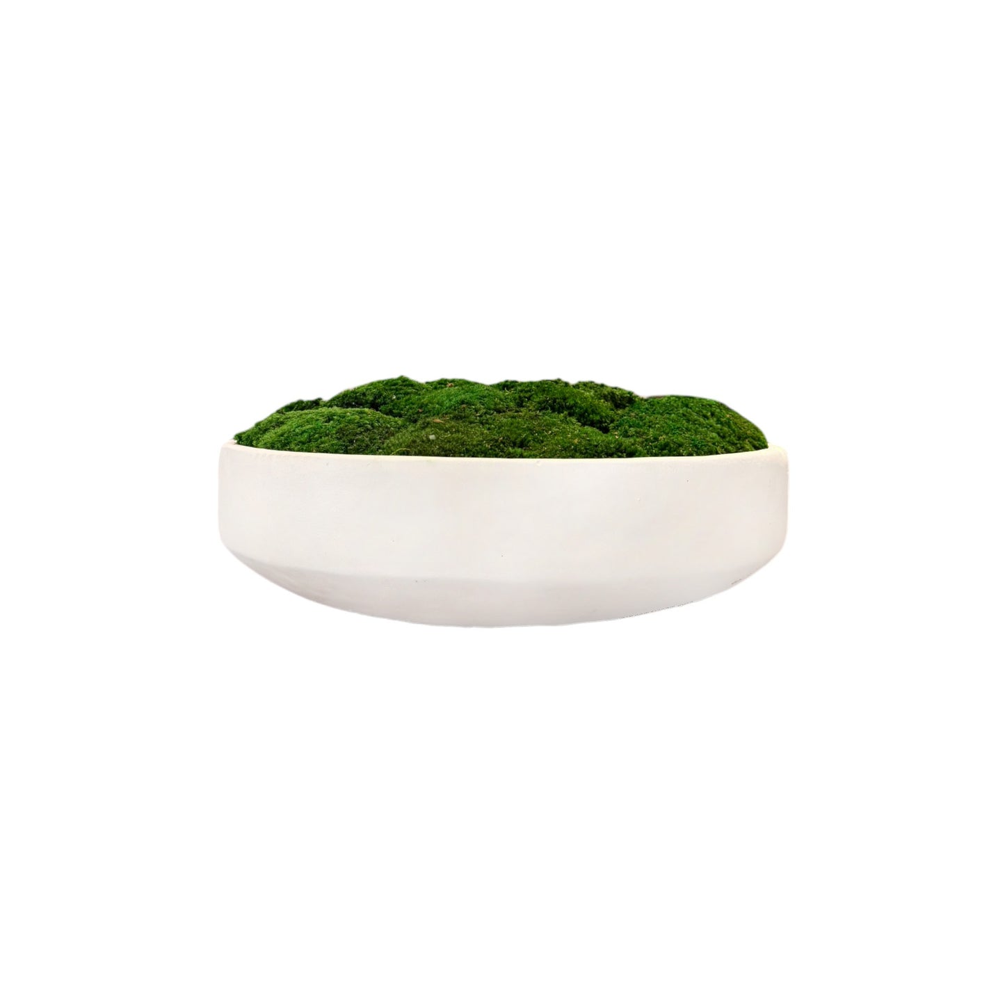 White Concrete Moss Bowl