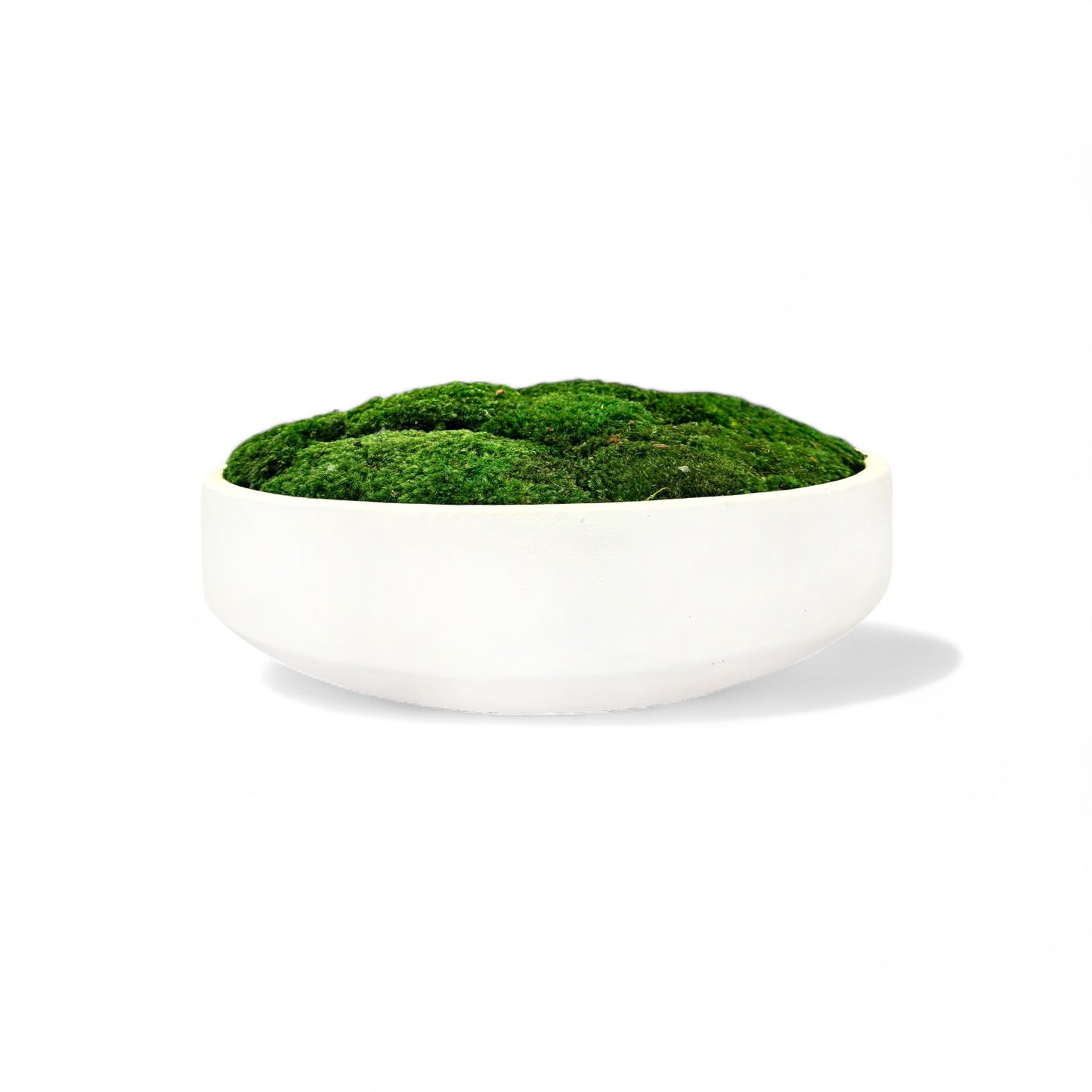 White Concrete Moss Bowl