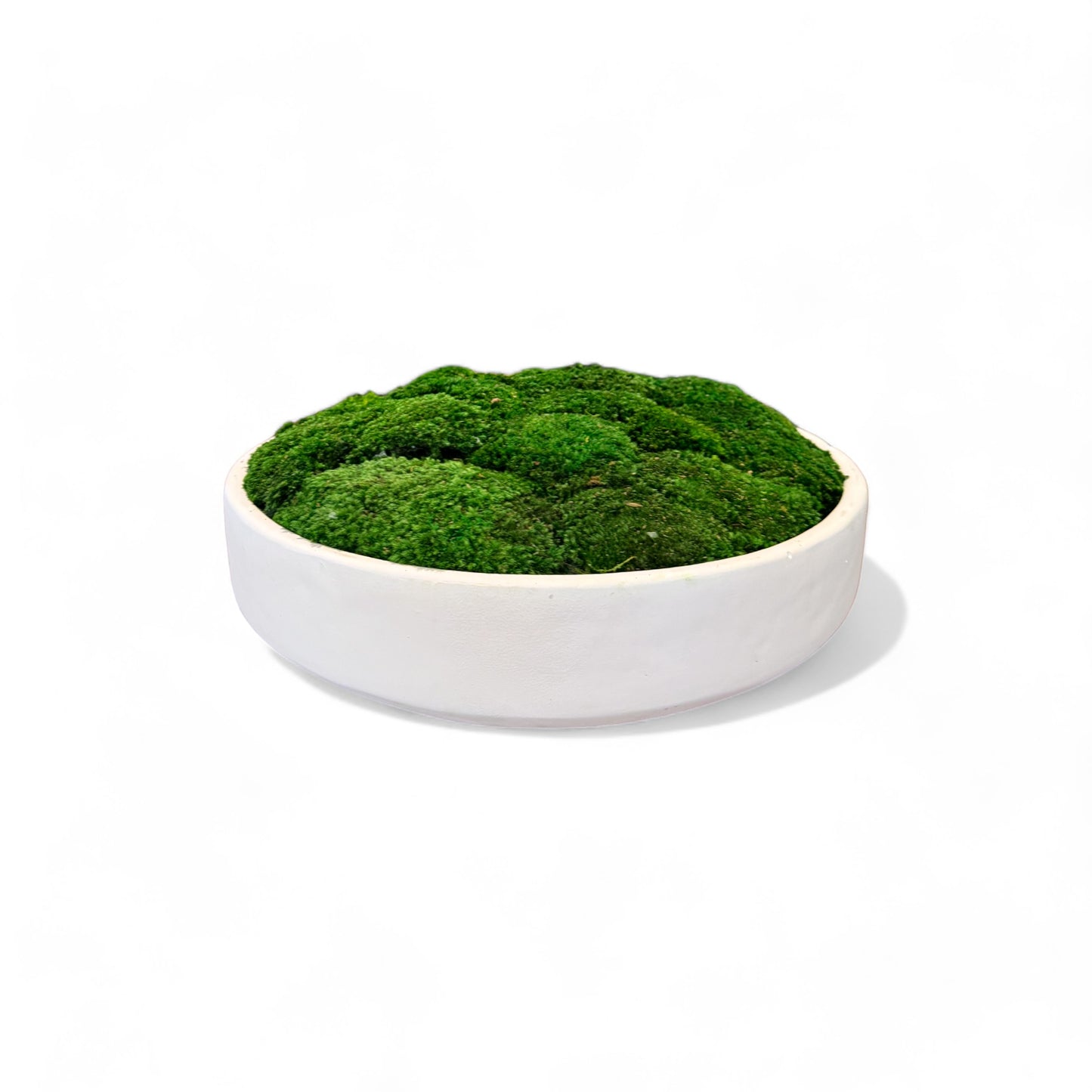 White Concrete Moss Bowl