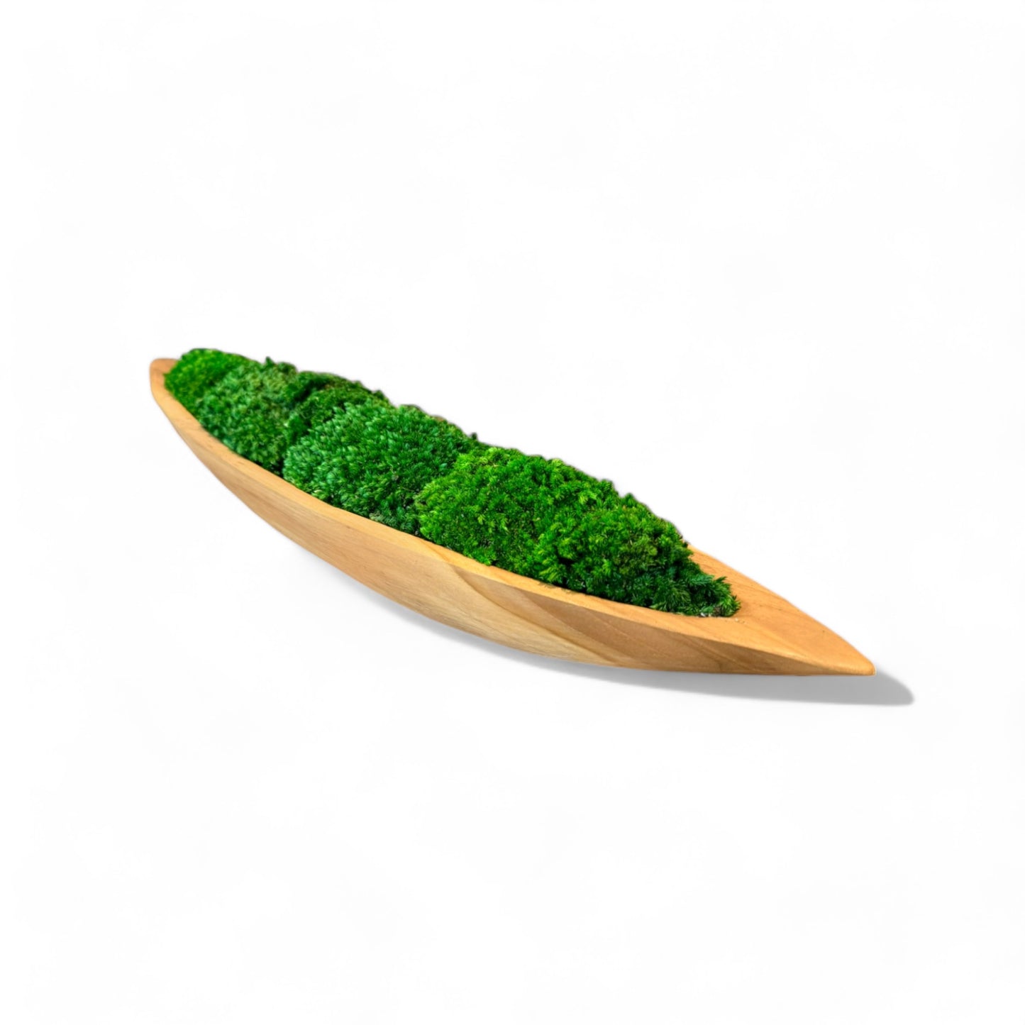 Wooden Boat Moss Bowl, 3 Sizes