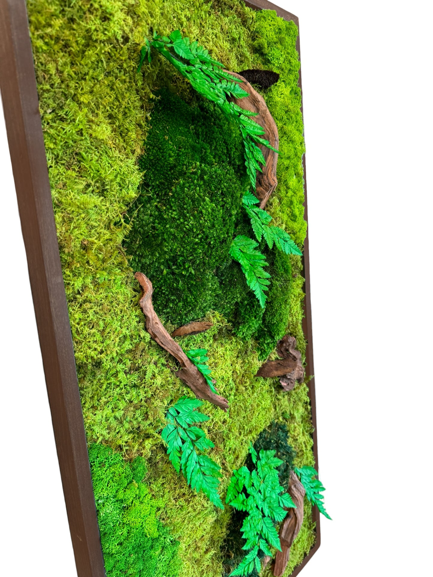 Vertical Jungle Moss Wall Art Frame