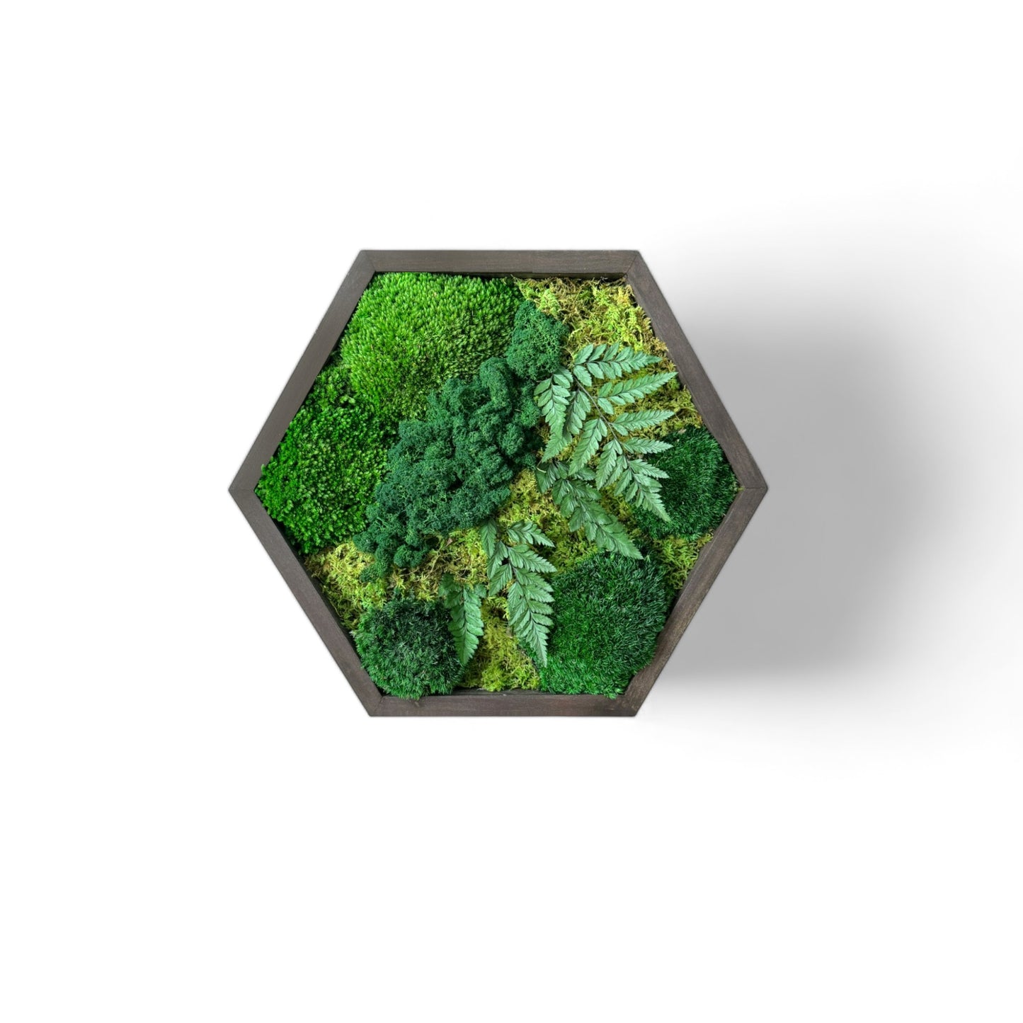 Hexagon Oasis Moss Art Frame Large 24"