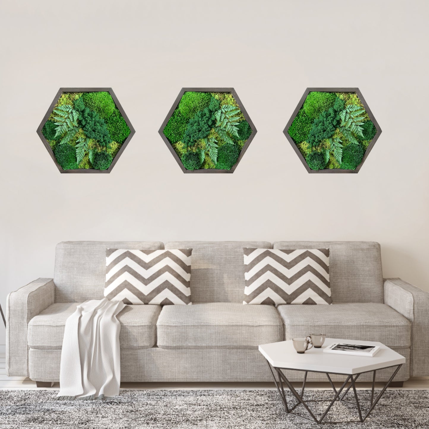 Hexagon Oasis Moss Art Frame Large 24"