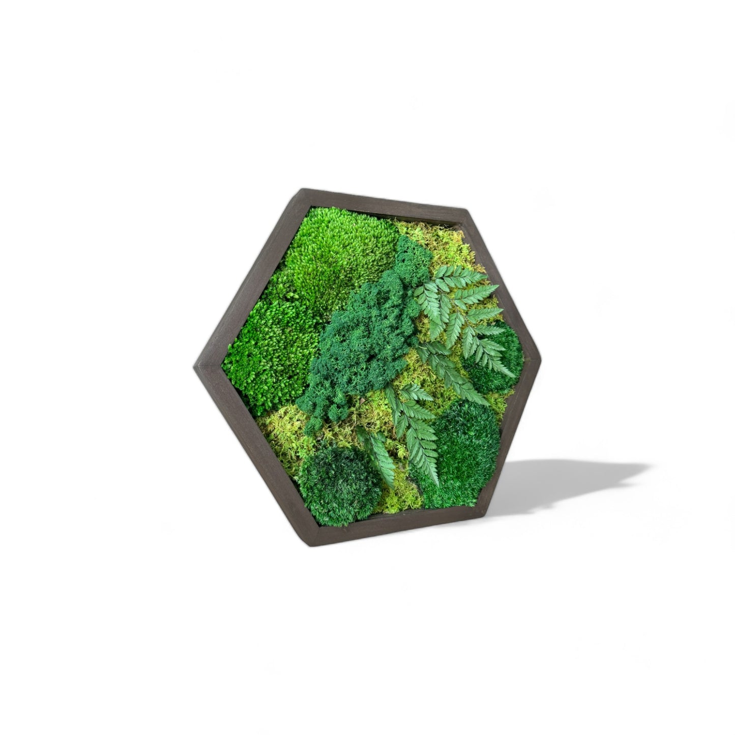 Hexagon Oasis Moss Art Frame Large 24"