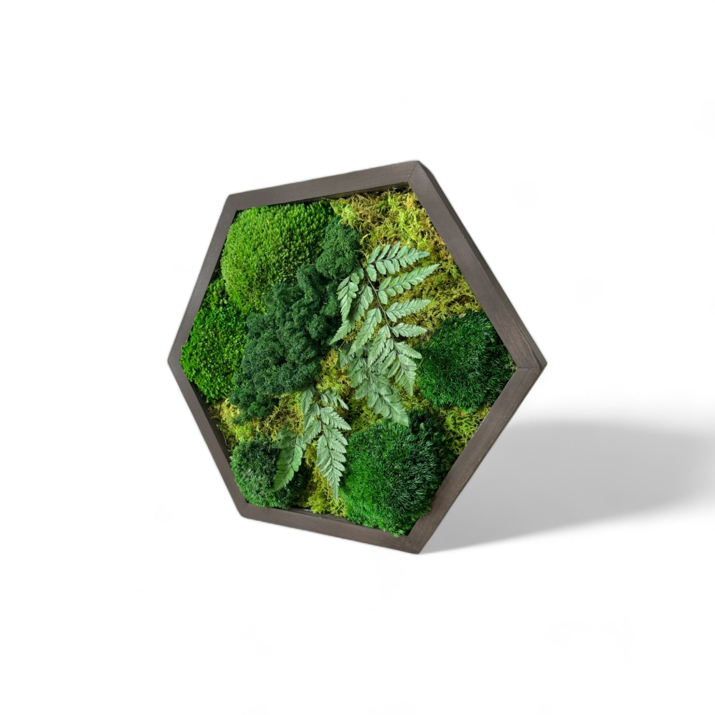 Hexagon Oasis Moss Art Frame Large 24"