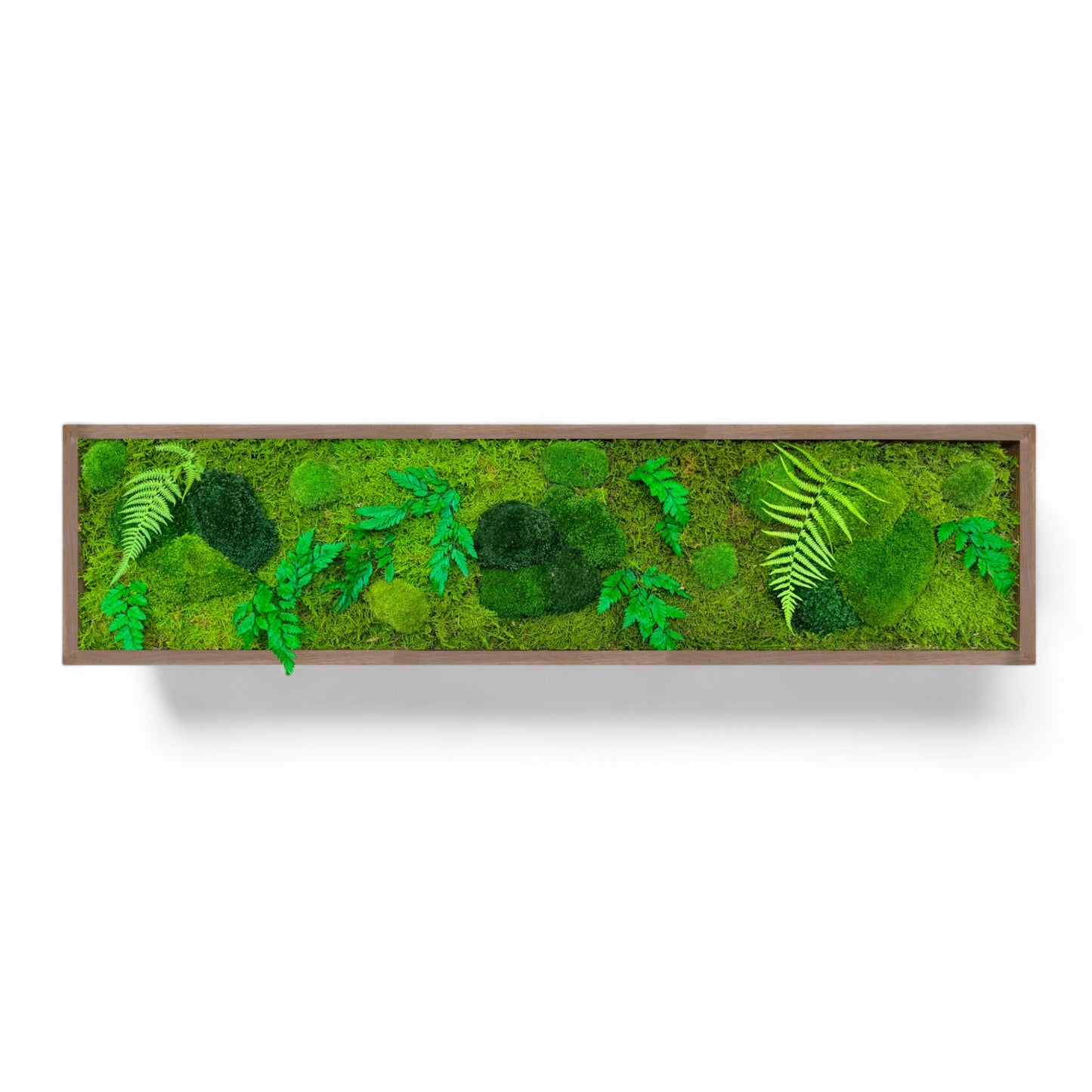 Moss Art Frame - Hawaiian Forest