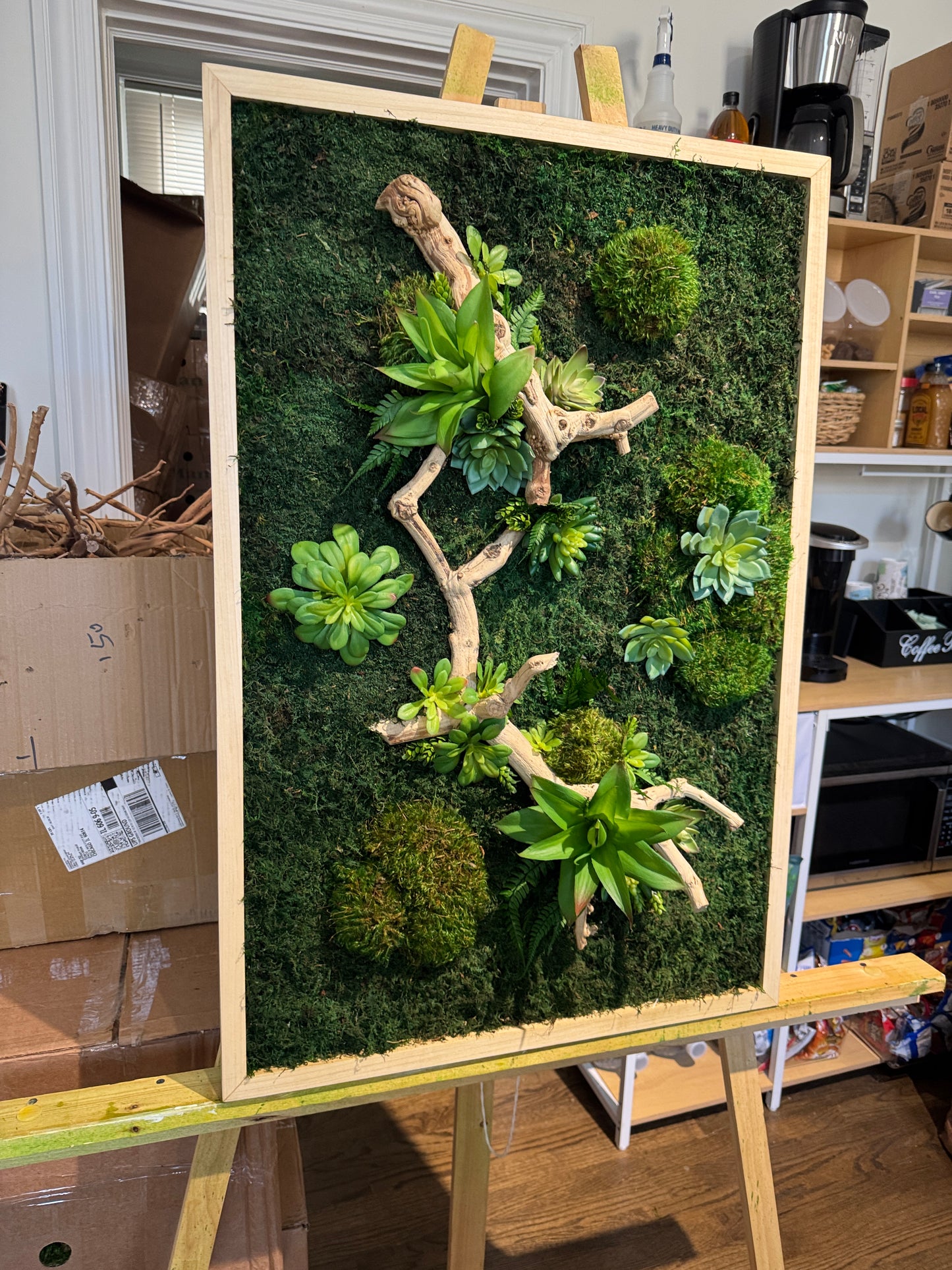 Succulent Refresh Moss Art Frame