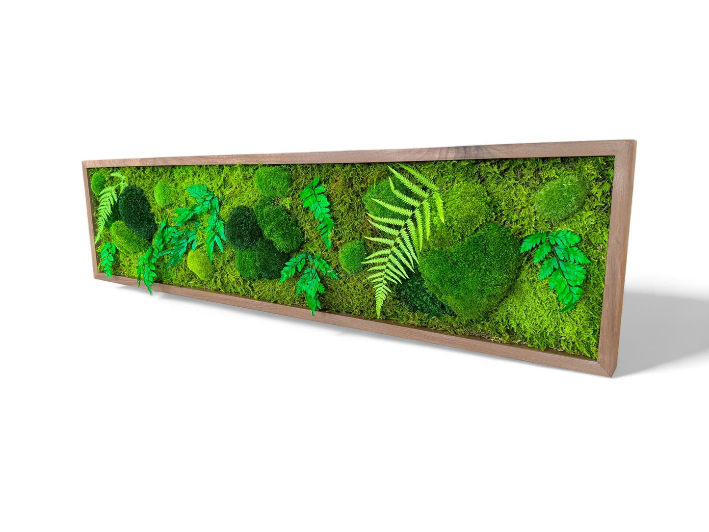 Moss Art Frame - Hawaiian Forest