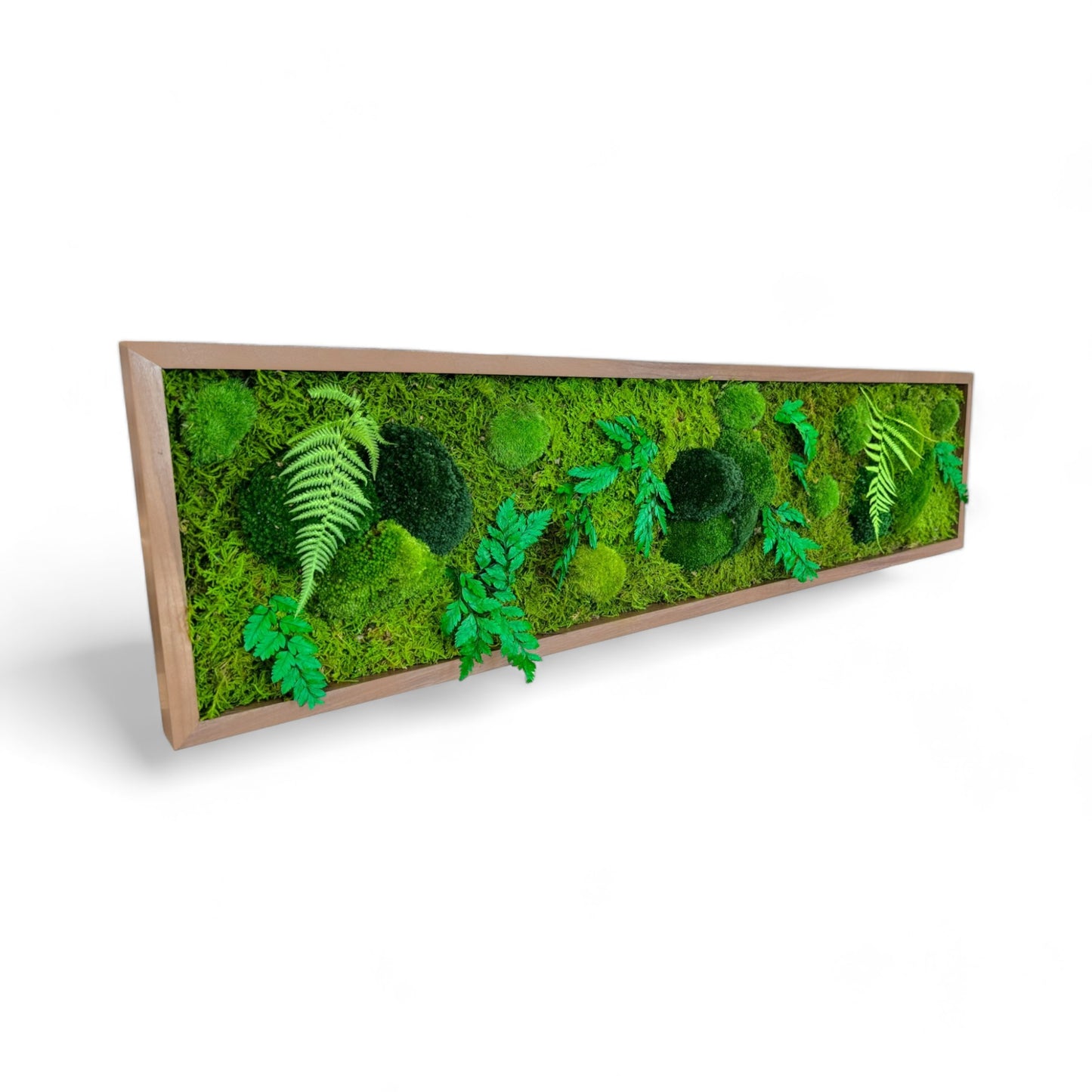 Moss Art Frame - Hawaiian Forest