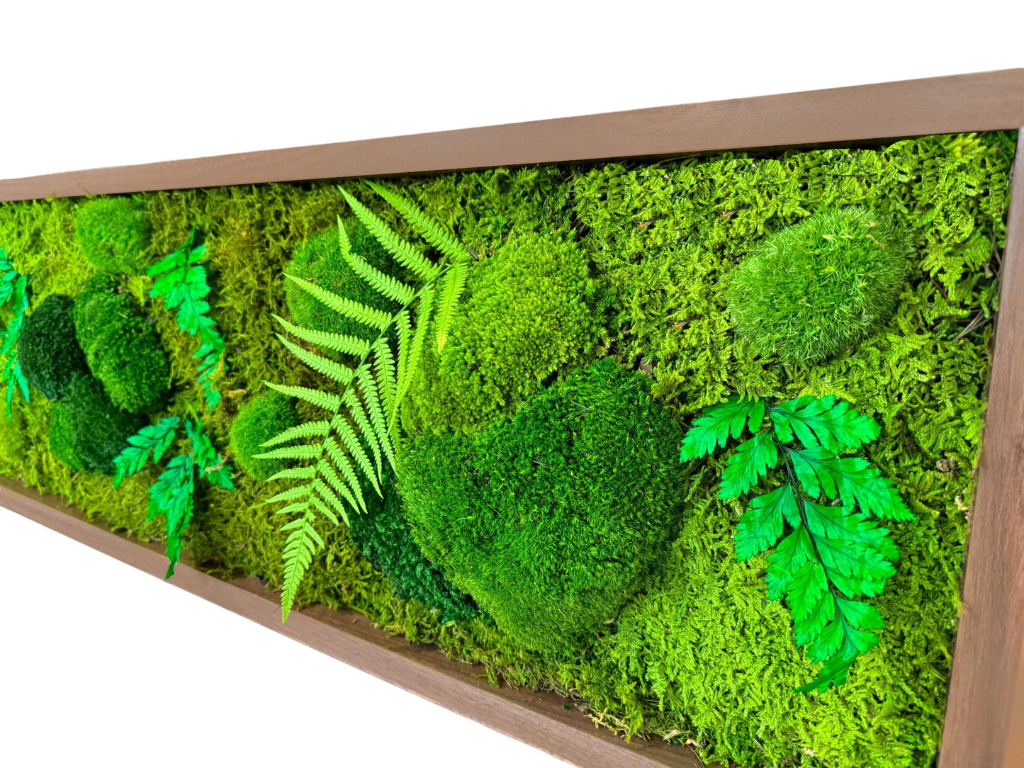 Moss Art Frame - Hawaiian Forest