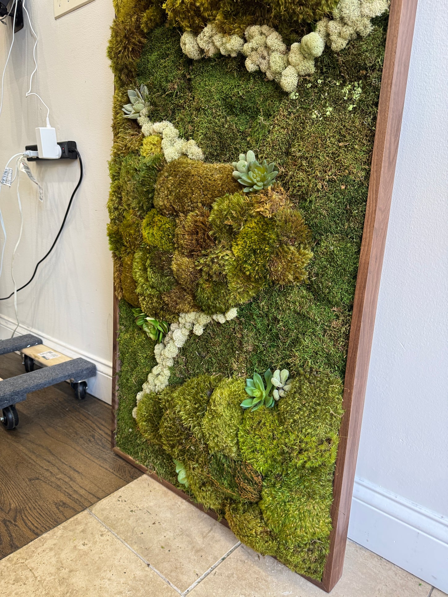 Newport Beach Succulent Accent Moss Art Frame (Once Piece)