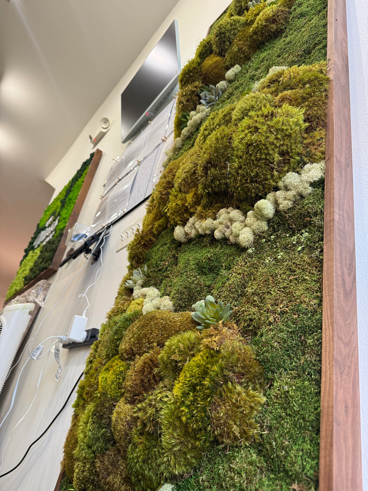 Newport Beach Succulent Accent Moss Art Frame (Once Piece)