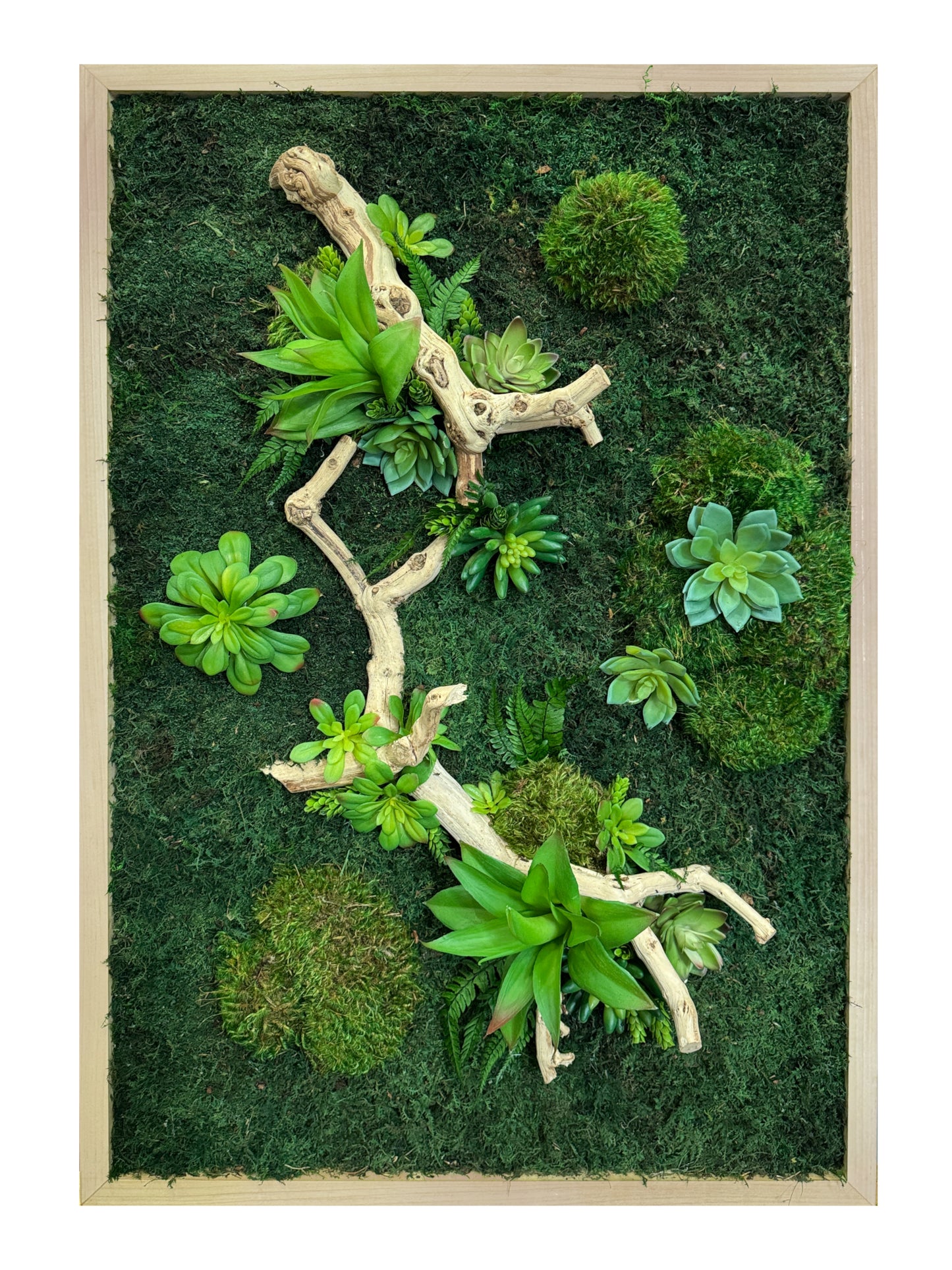Succulent Refresh Moss Art Frame