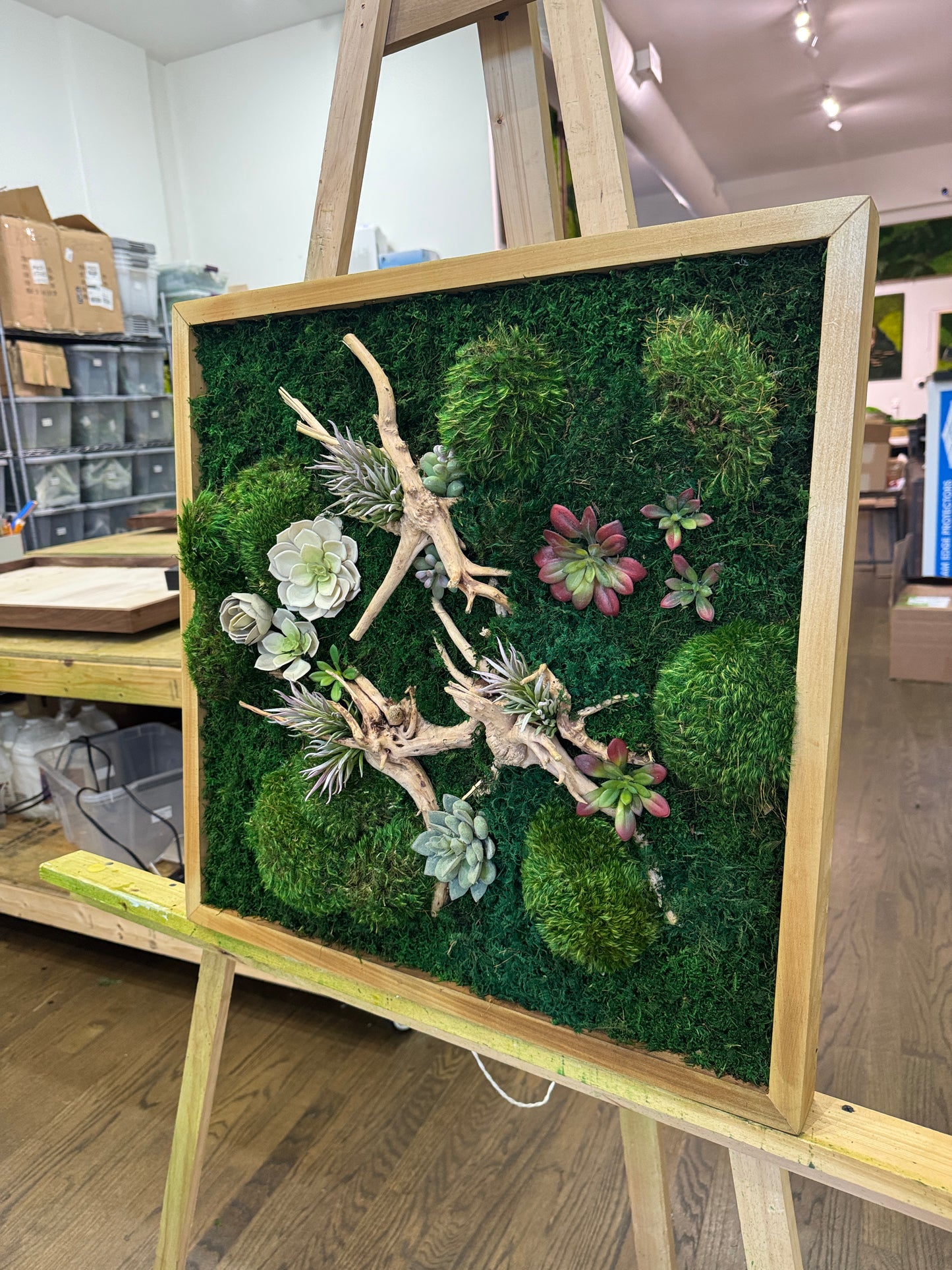 succulent driftwood wall art Drift & Root Succulent Moss Art Frame – The Moss Shop