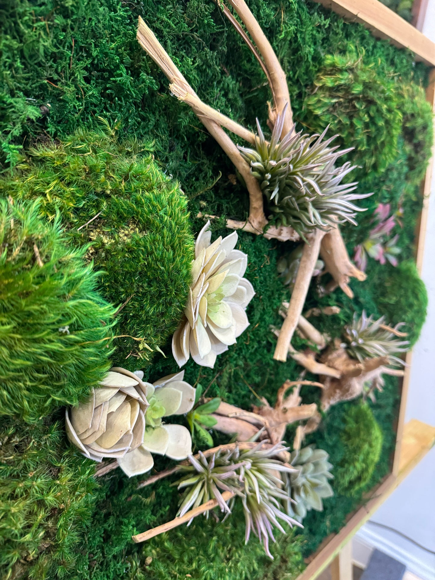 succulent driftwood wall art Drift & Root Succulent Moss Art Frame – The Moss Shop