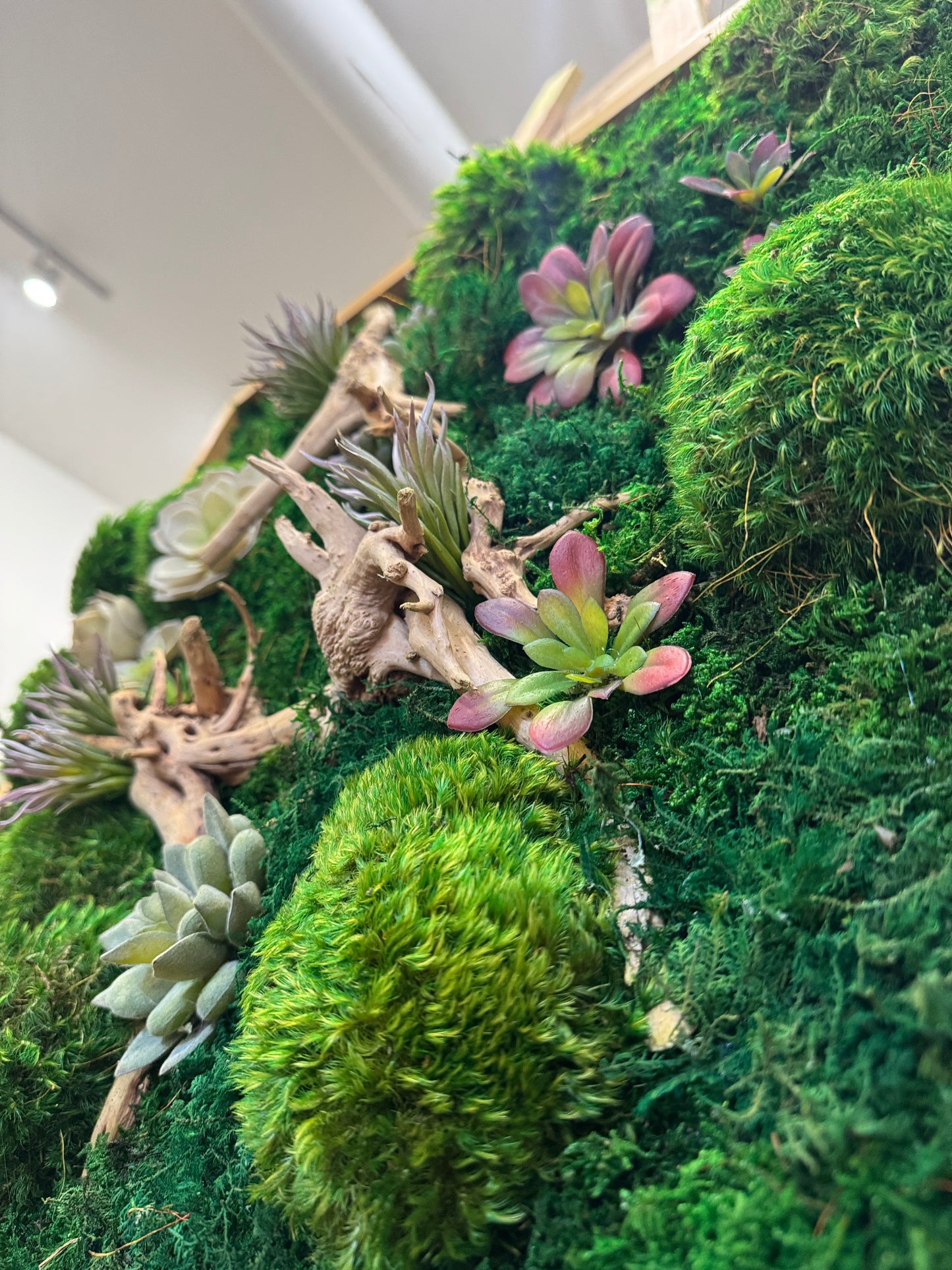 Vibrant Succulent Moss Art Frame