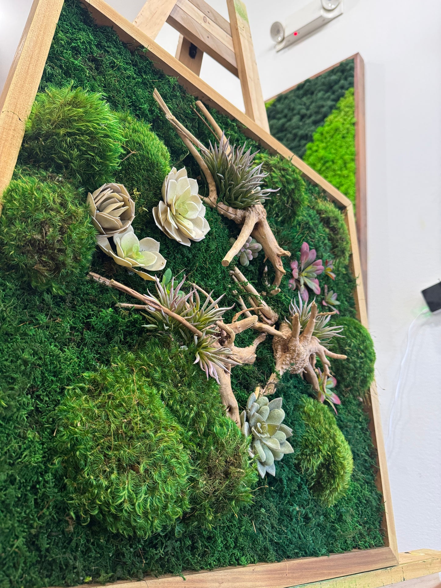 Vibrant Succulent Moss Art Frame