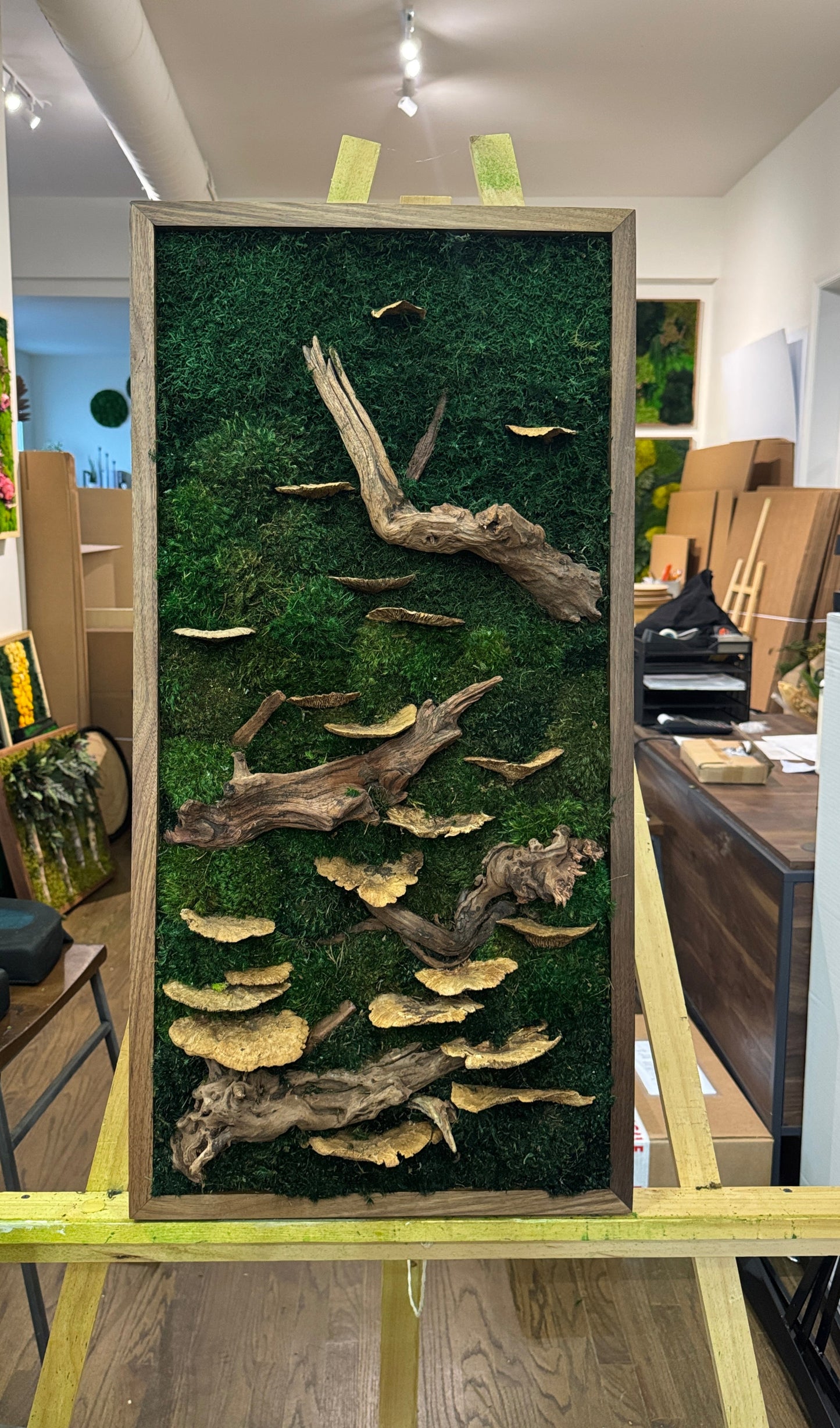 Foraged Mushroom Woodlands Moss Art Frame