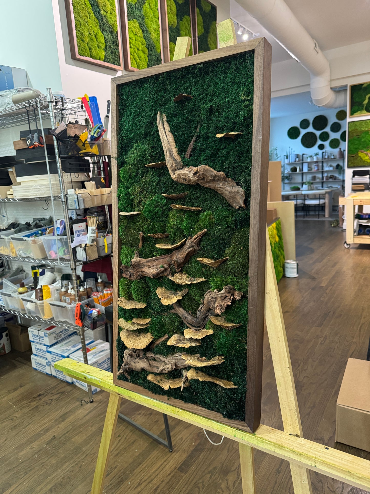 Foraged Mushroom Woodlands Moss Art Frame