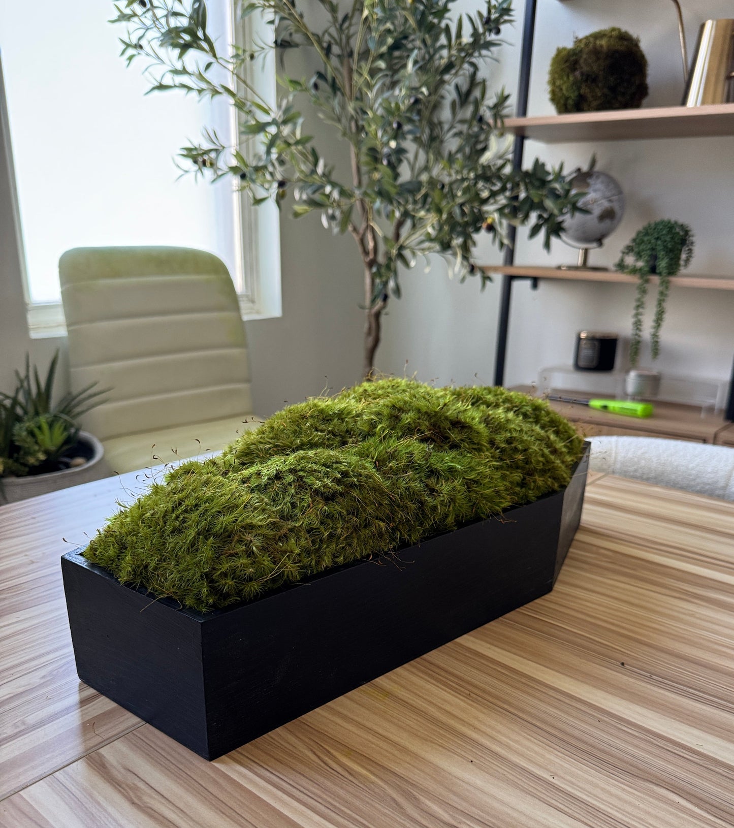 Coffin Moss Bowls – Modern Halloween Moss Décor