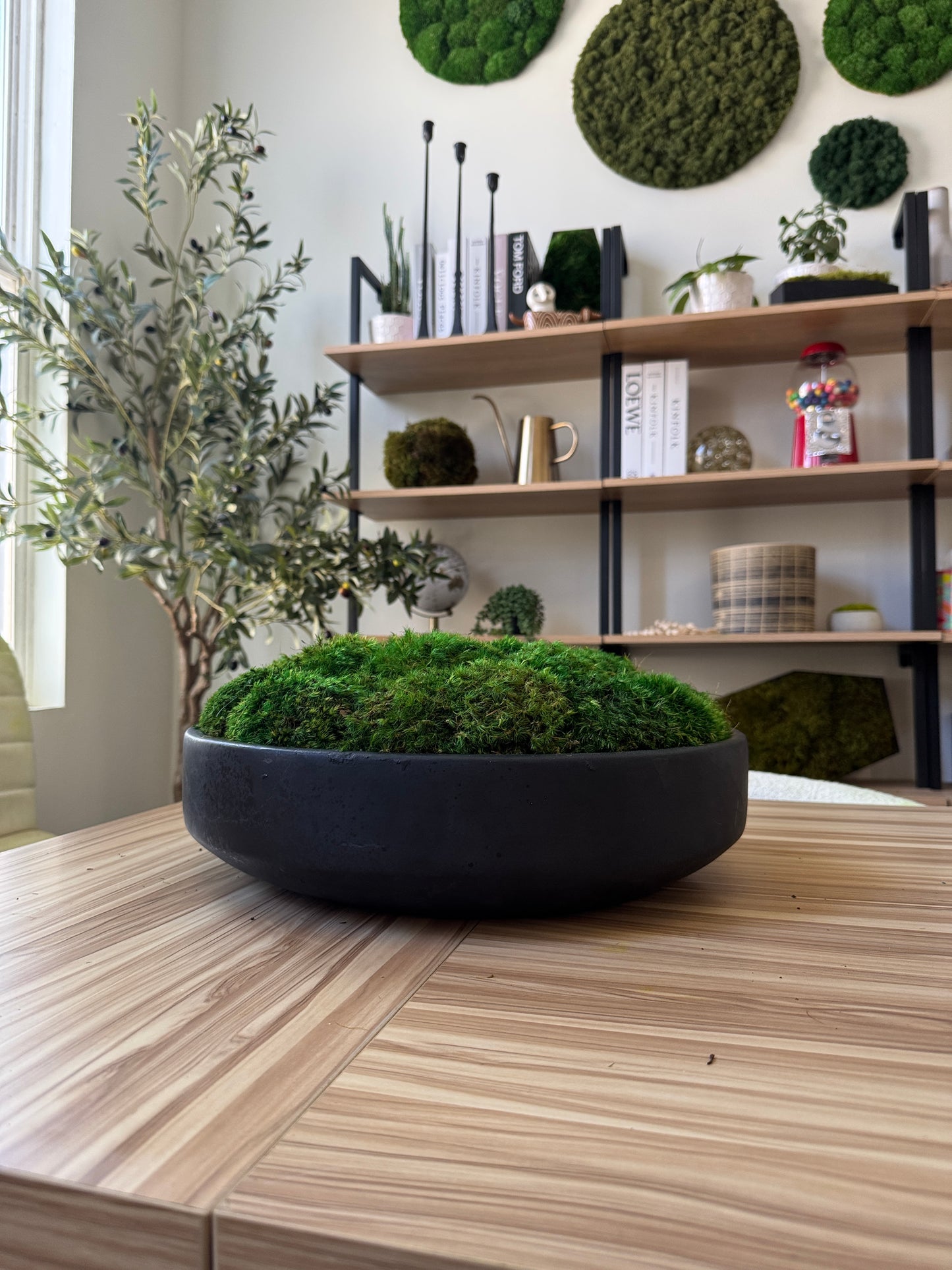 The Classic Concrete Moss Bowl